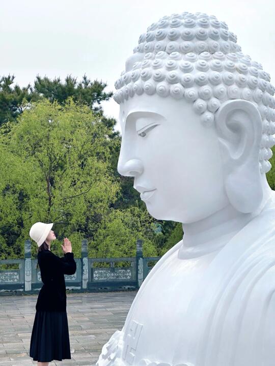 沈阳拍照｜阴雨天向阳寺的这尊巨佛太震撼！