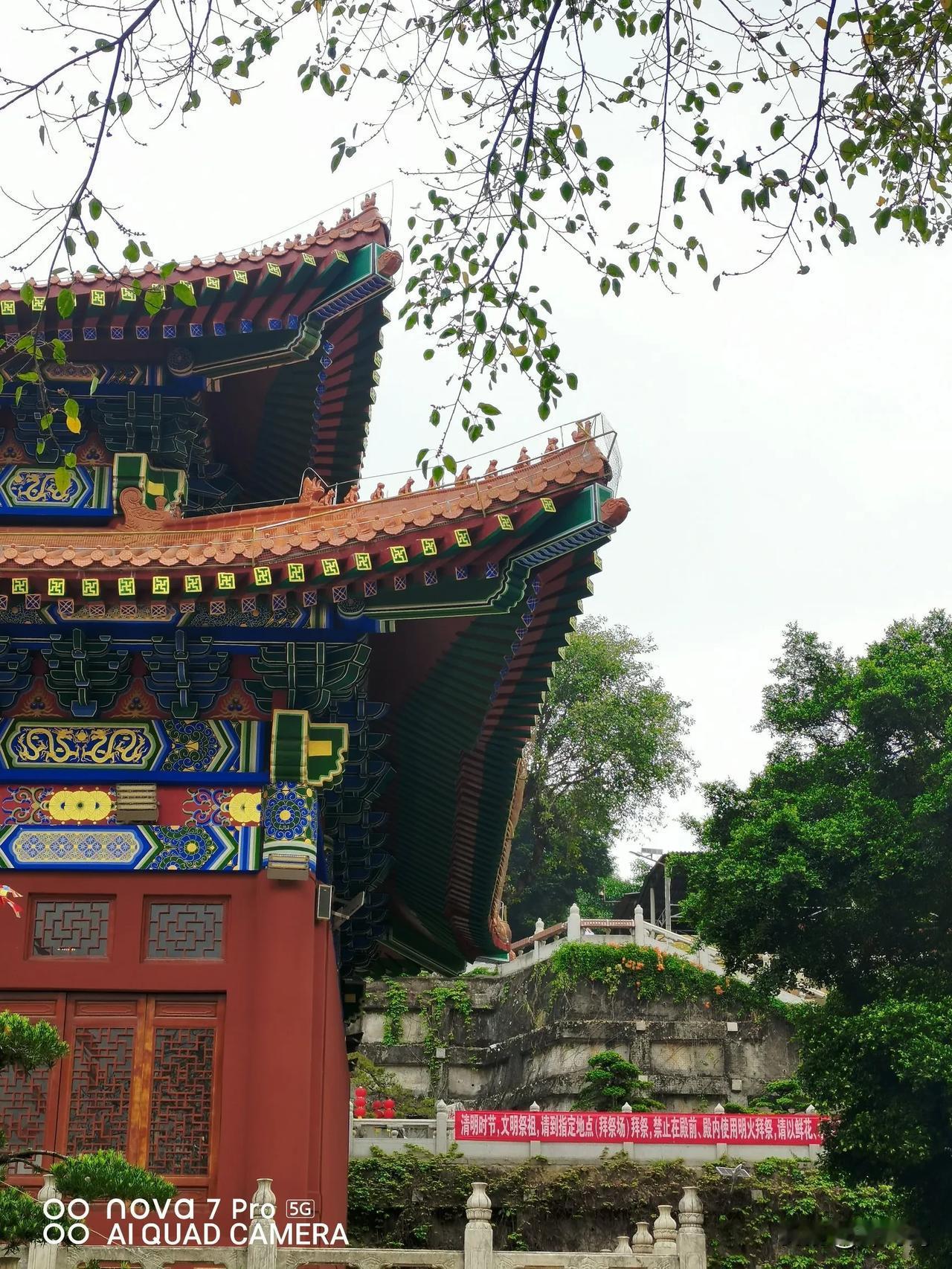 为什么要修行？
因为人在最痛苦，最孤独无助时
修行，
是你绝处逢生时的救命稻草