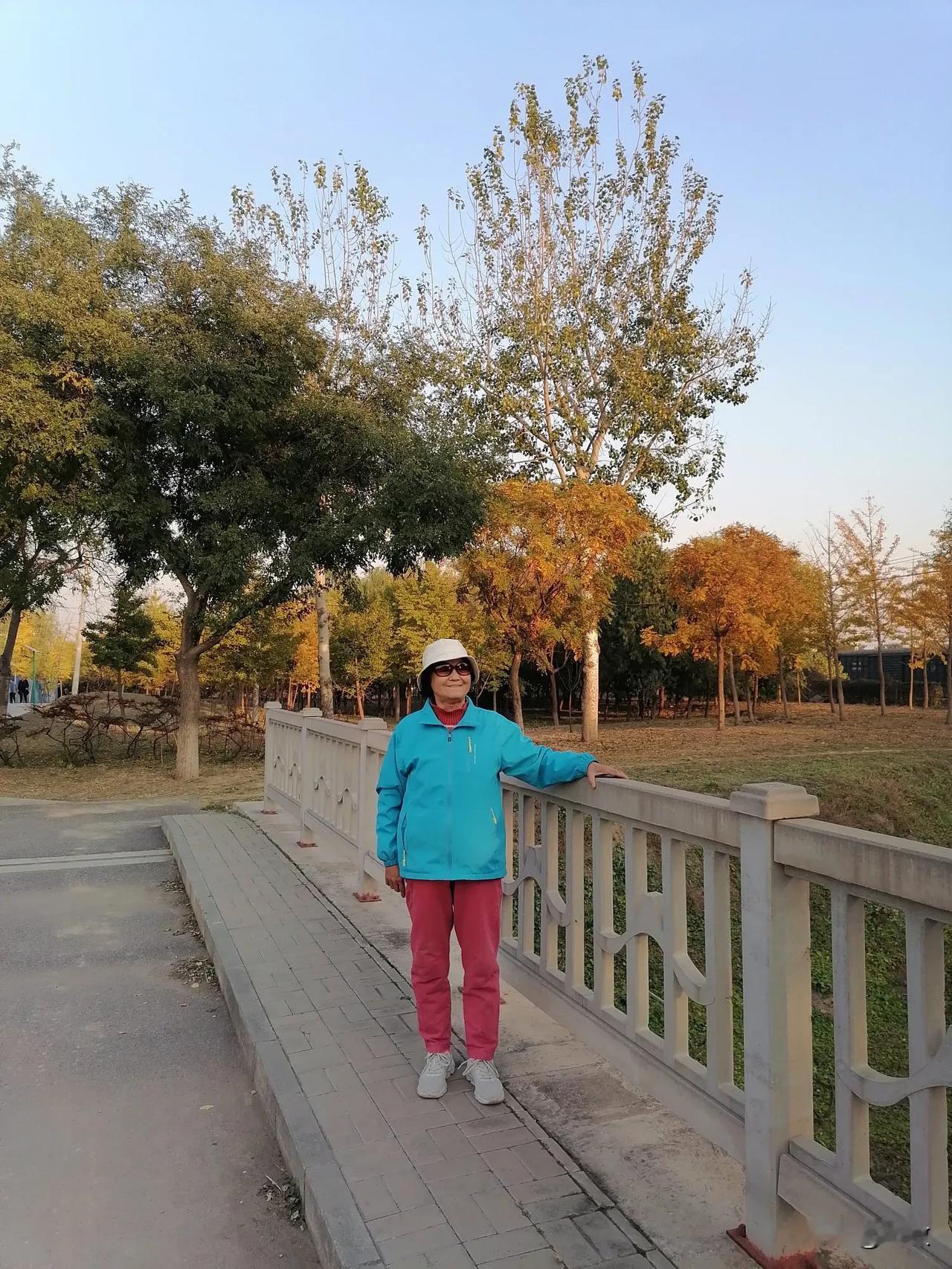 
告别金色的秋天真的是不舍！
昨日，立冬已至。我来到北京公益西桥南附近的槐新公园