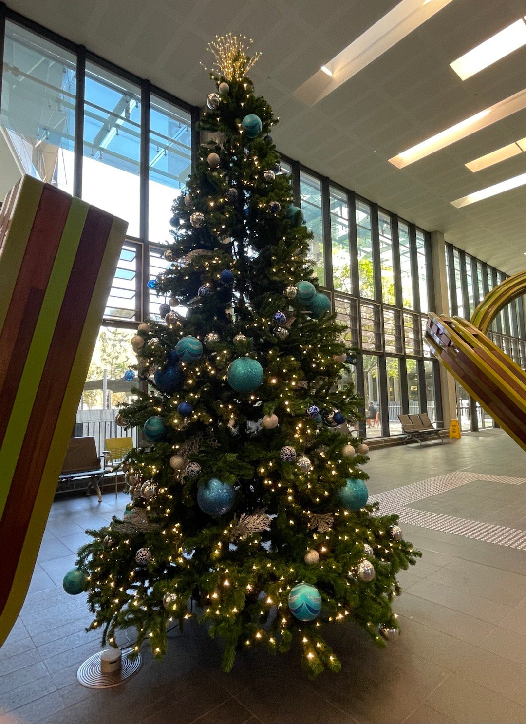 生活手记进入十二月，圣诞的气氛越来越浓，哪里都亮闪闪的，再搬一天的🧱就休假，加