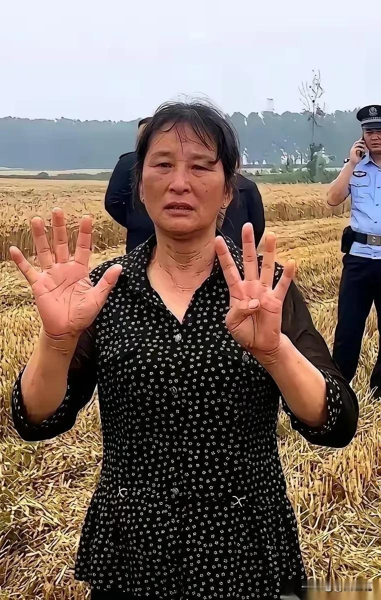 襄阳那场麦收风波，闹到最后，结局比过程更带劲。

闹到最后，大妈托侄子，给河南那