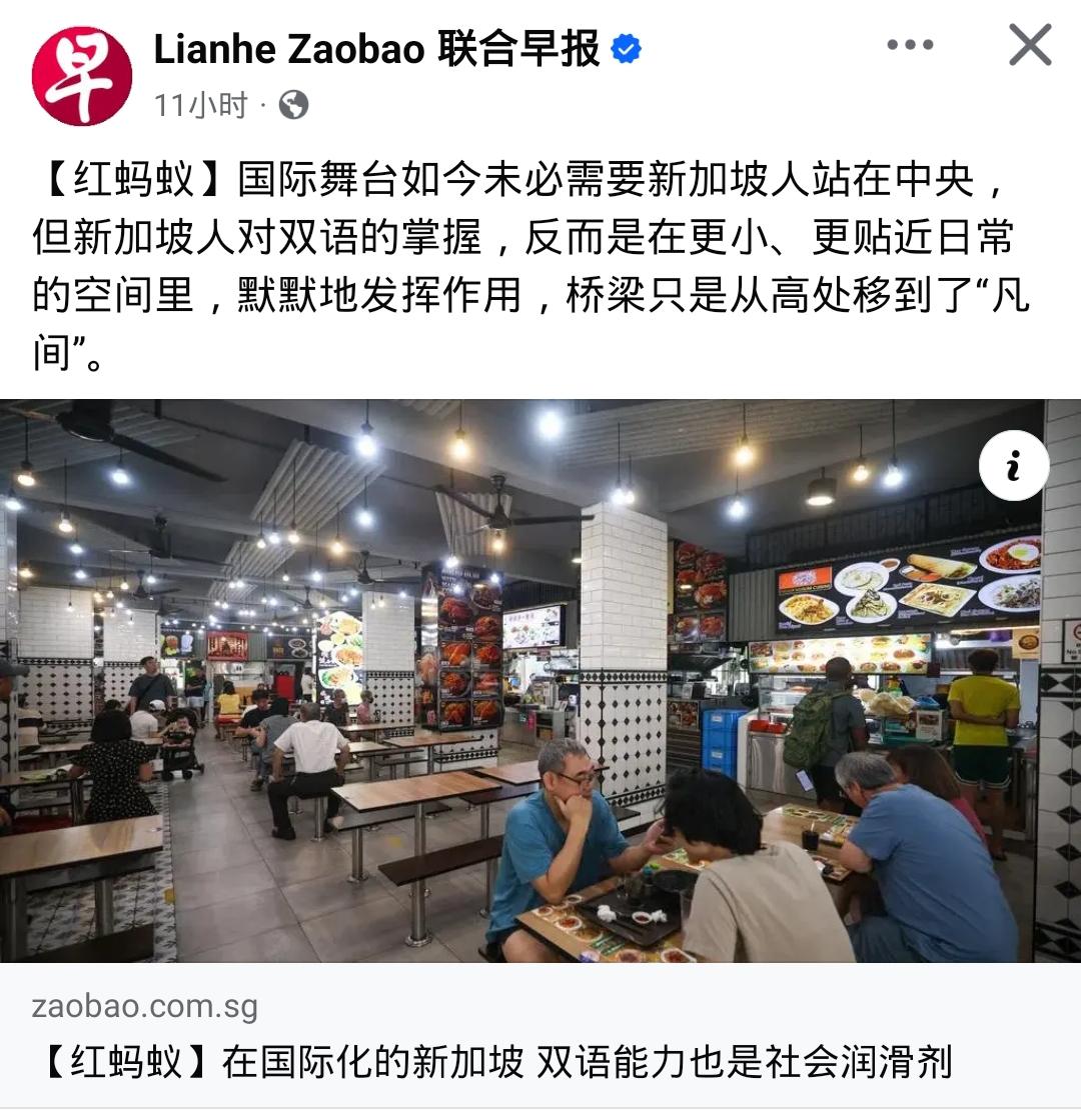 新加坡做得很绝想得却挺美！

《联合早报》专栏文章称：国际舞台如今未必需要新加坡
