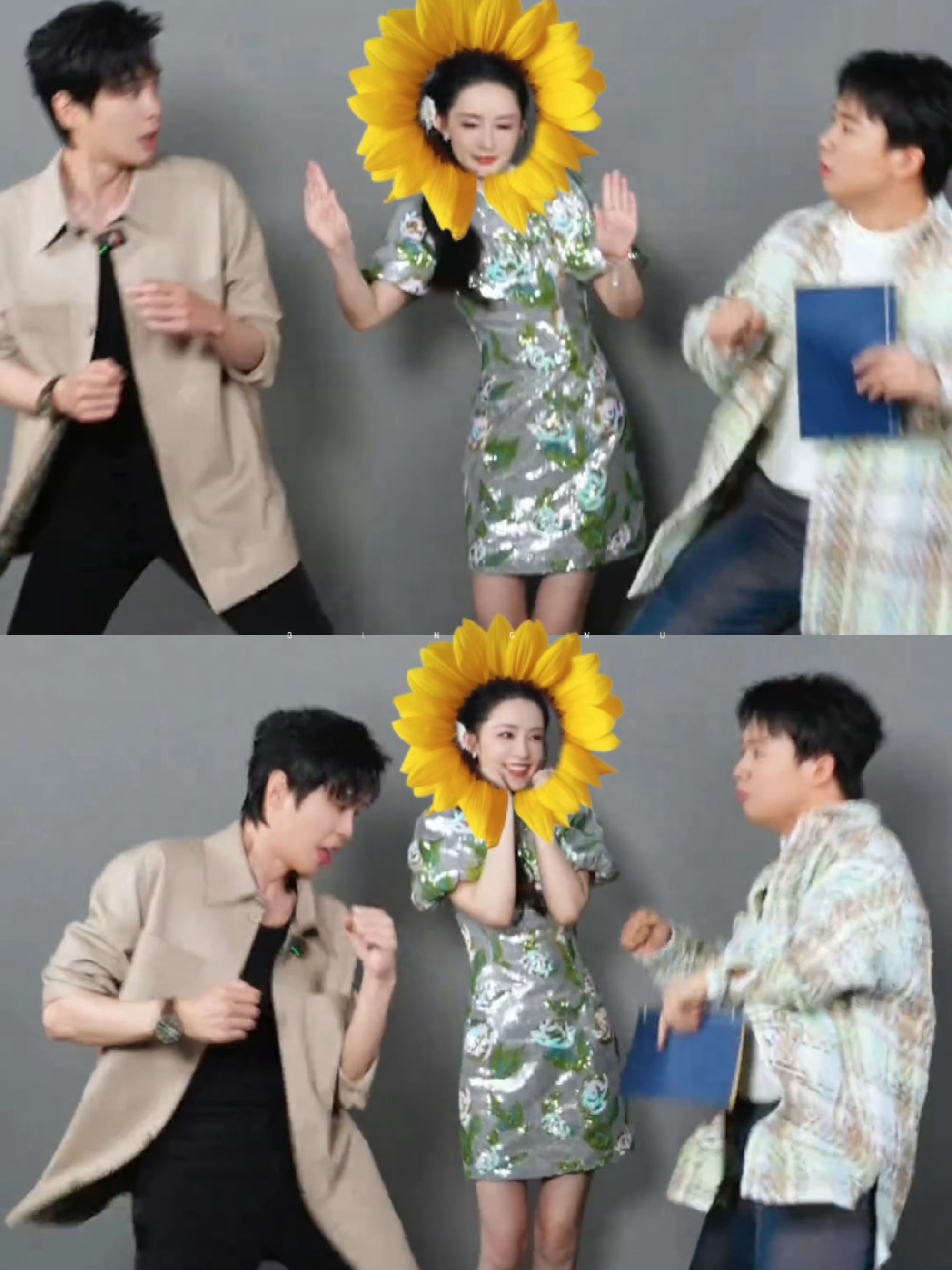 #李沁收到向日葵花#粉丝送李沁向日葵花，向日葵劝架这个梗真的太搞笑了，收到花的李