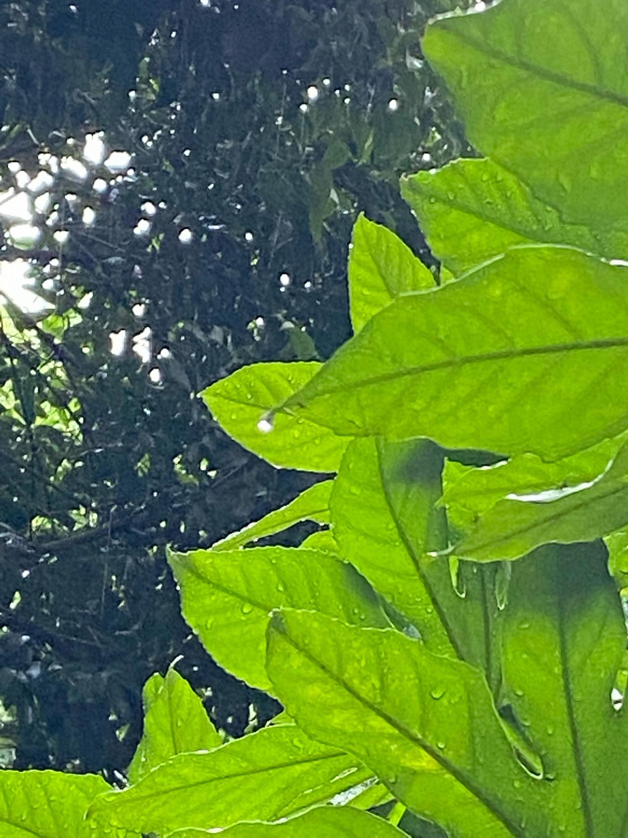 康复日记：雨天宅家，把锻炼藏进日常里

2026年4月28日 星期二 阴雨天，风
