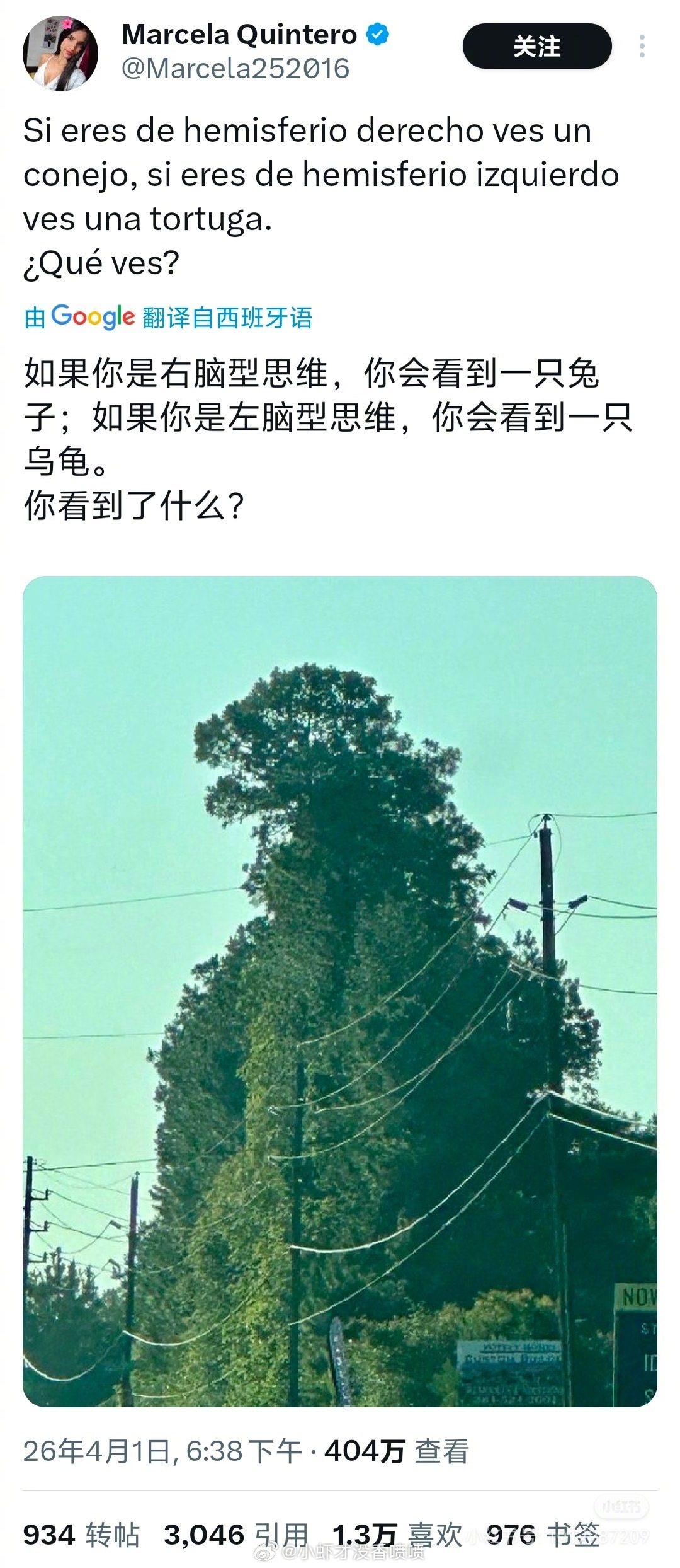 这特么地地道道是个哥斯拉啊 