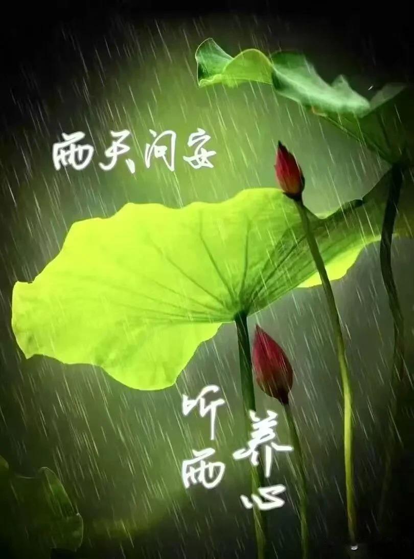 清风作伴，晨光为序，愿日子不慌不忙，平凡的每一天都满是小欢喜。