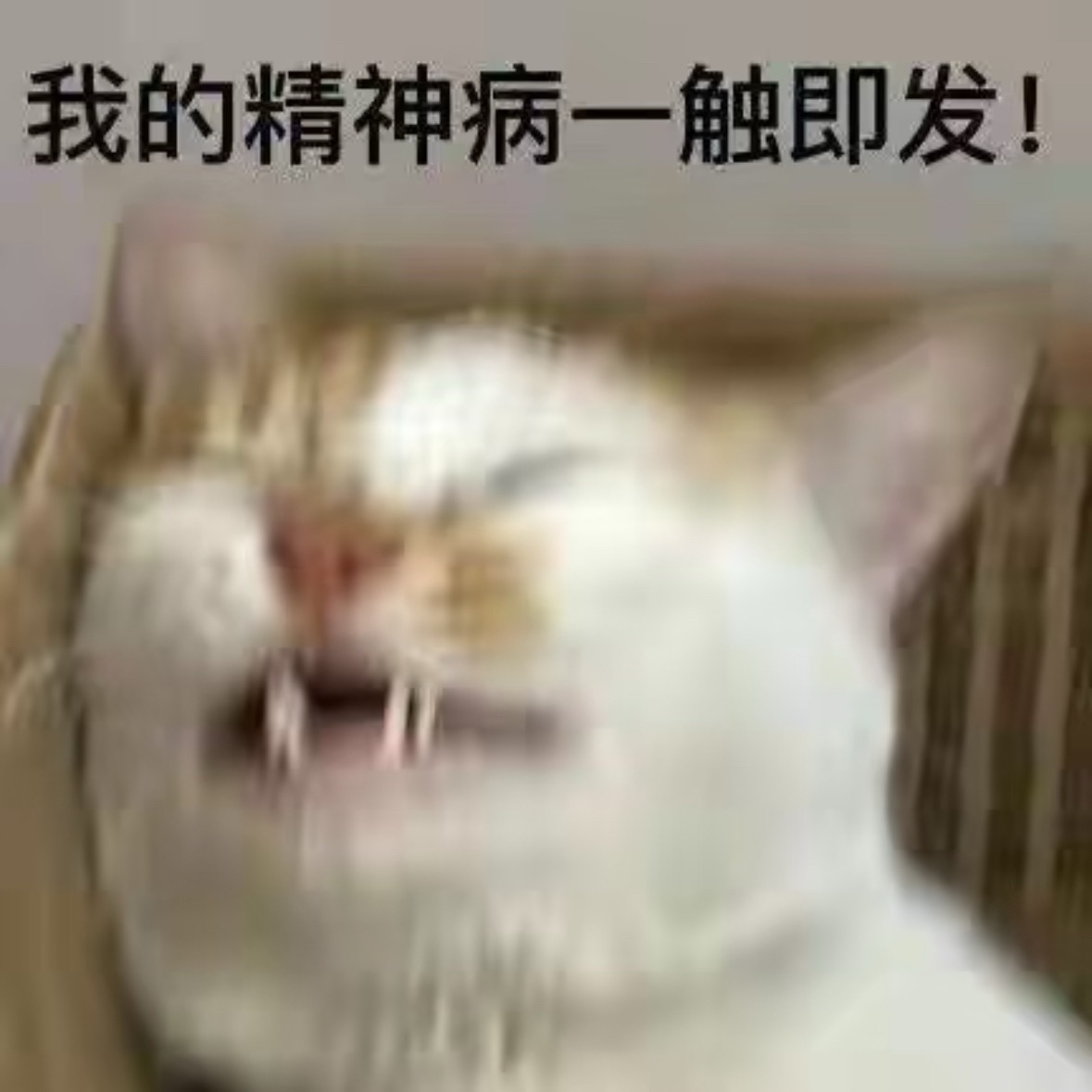 我一边对着朱志鑫燥动，一边对着不喊出声的棍丝暴动 