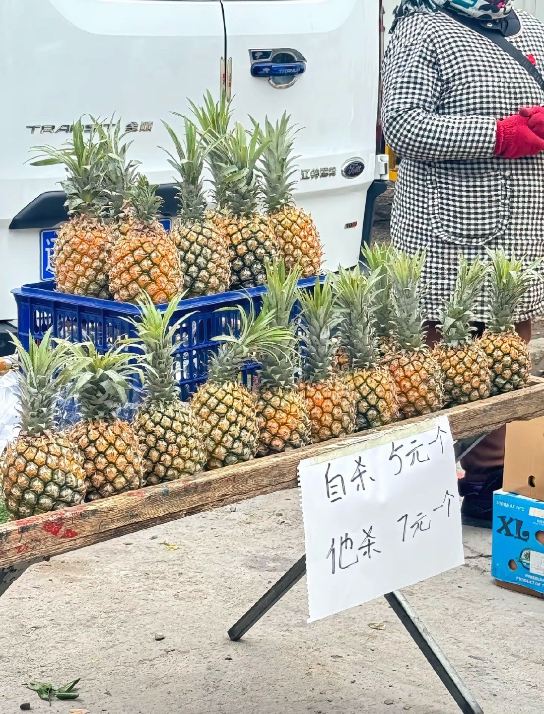 菠萝🍍最近存在感好高 