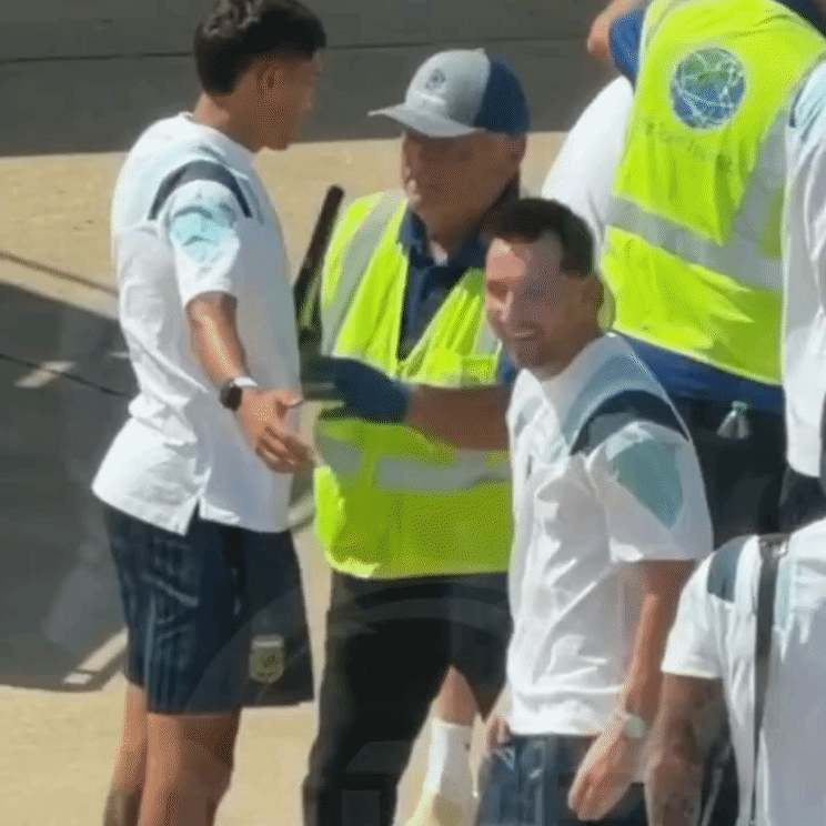 到底在笑什么啊！笨笨嘟小豚