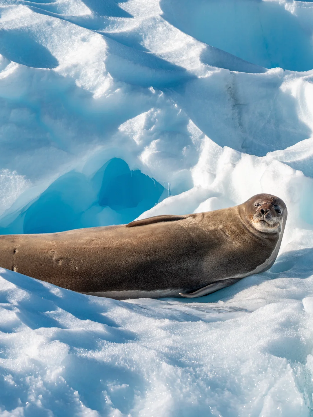 一张12w多的船票，用最贵的旅程拍最好的作品