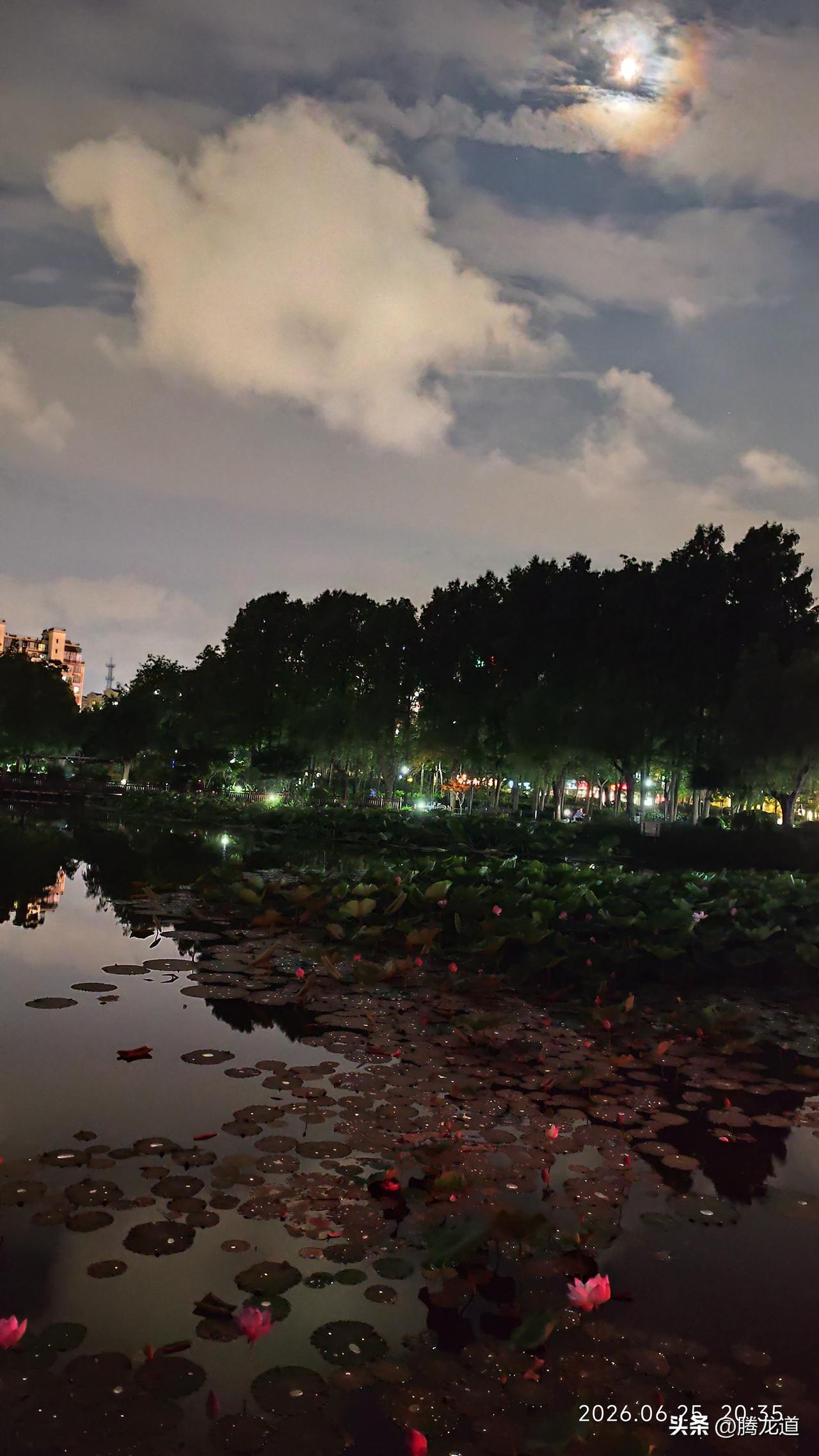 分享一张最近随手拍的照片夜晚公园景如画