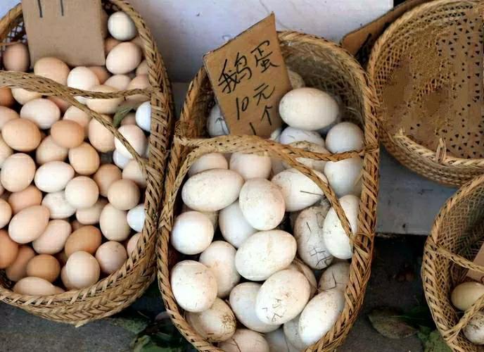 一直很好奇，鹅蛋是什么滋味

今天看到集市上有卖鹅蛋的，突然就想买来尝尝，凑近一