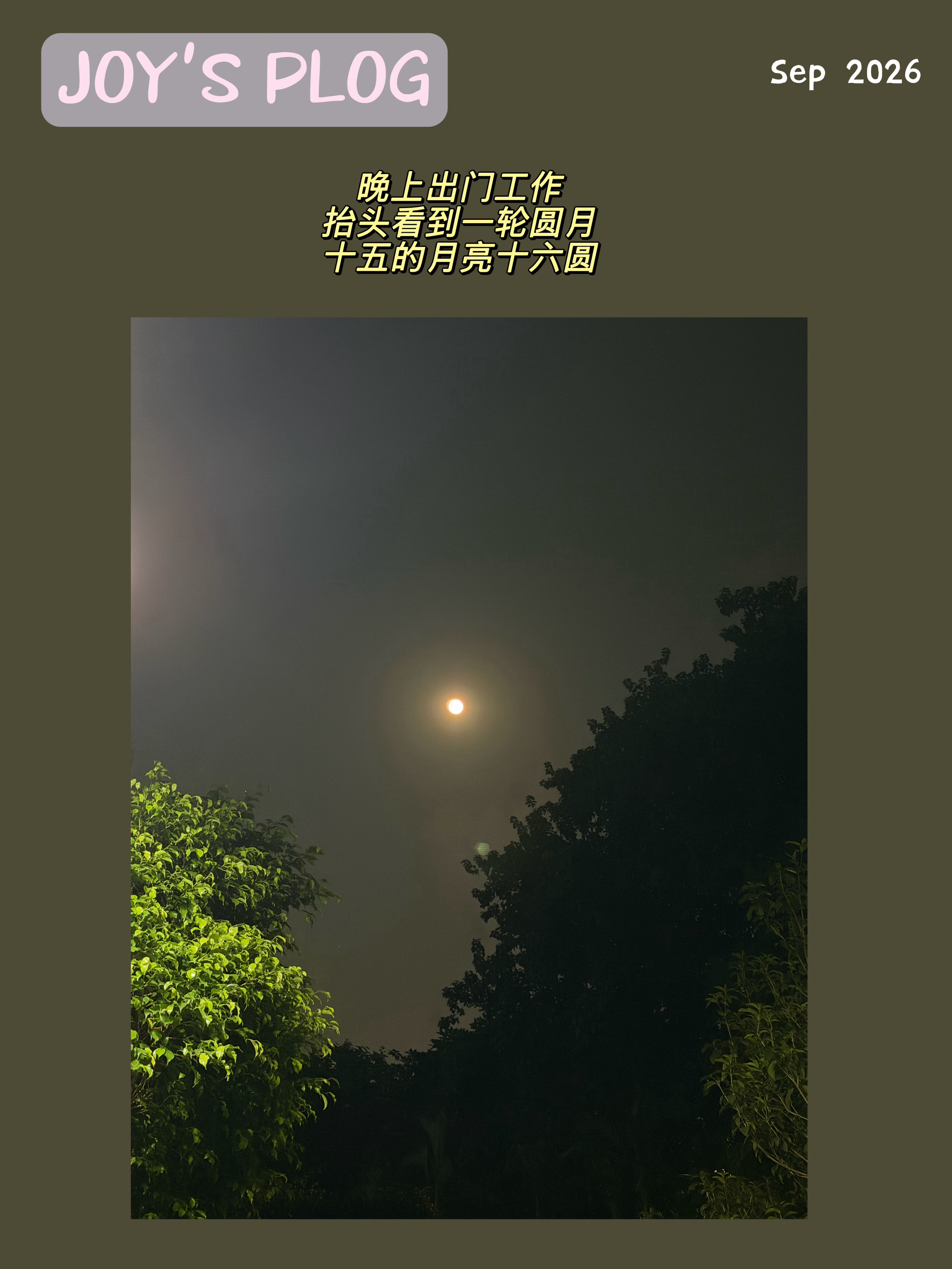 这周的日常plog分享来啦～ ​​​