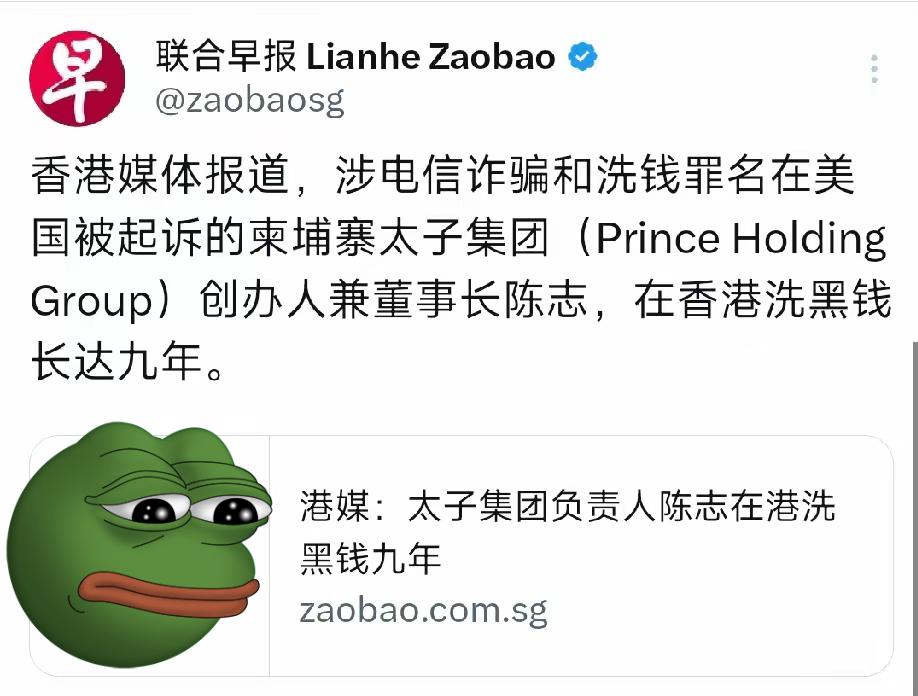 港媒爆料，太子集团的陈志在香港洗钱长达九年，他先是用空壳公司和“白手套”豪掷10