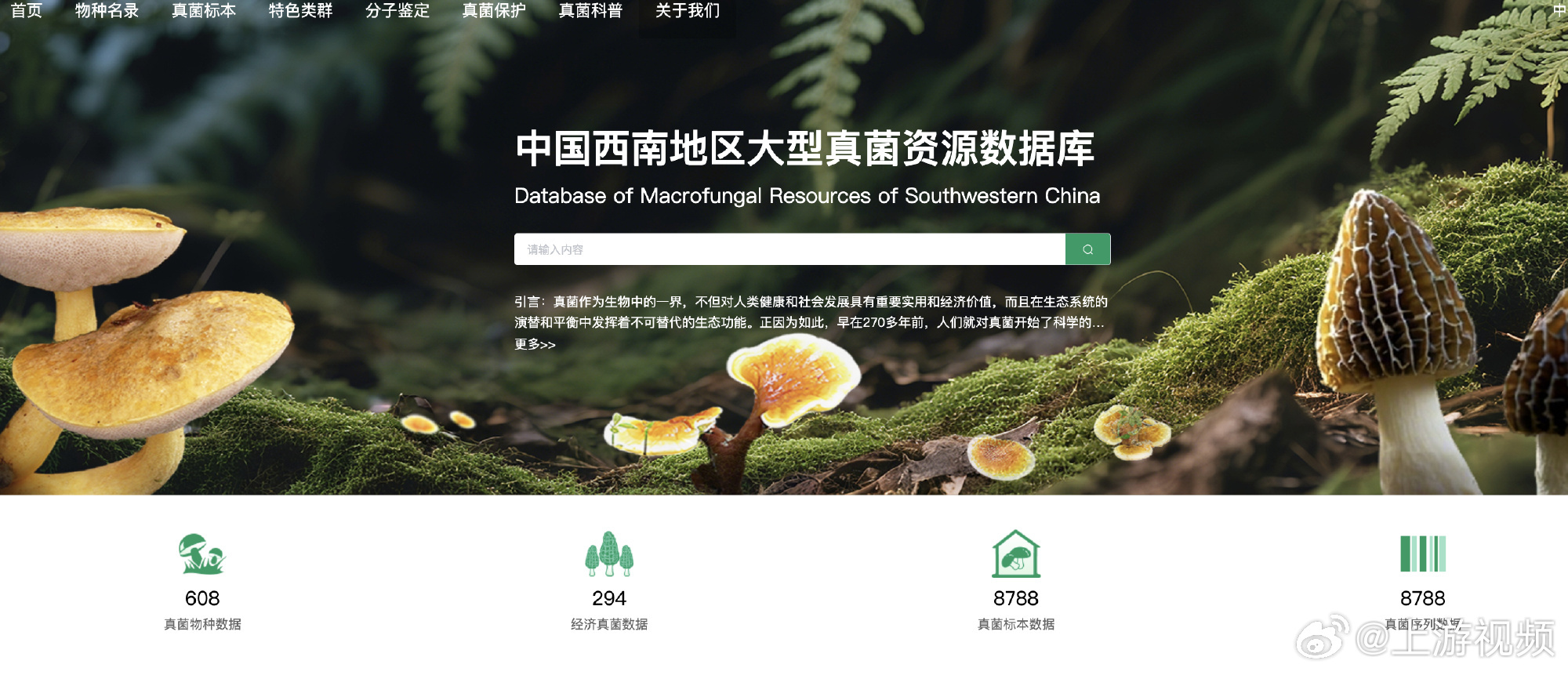#中国科学院上线真菌王国数据库#【中国科学院上线“真菌王国”数据库，野外捡小菌子