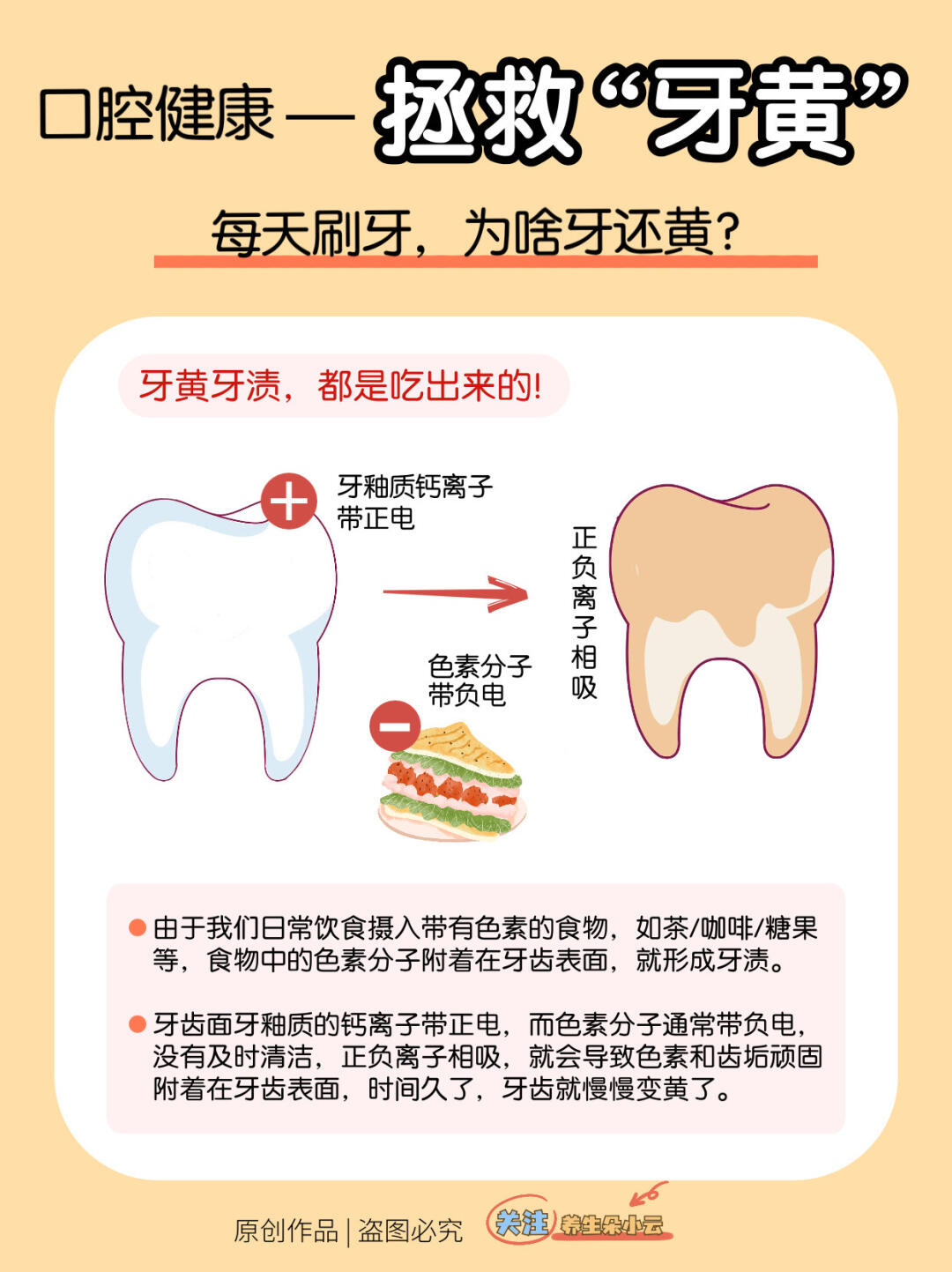 口腔知识🦷牙黄怎么变白⁉️自救指南✅