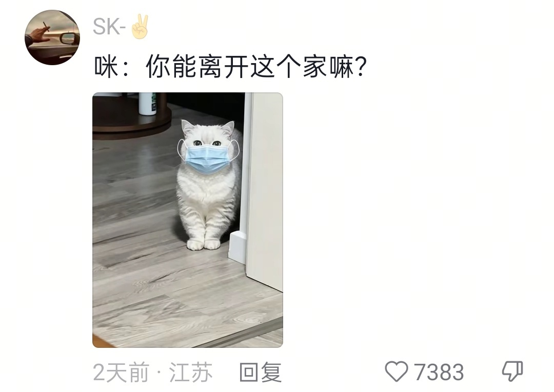 久病床前无孝咪 不然呢，你还指望它给你拿药倒水吗🐱🐱🐱 