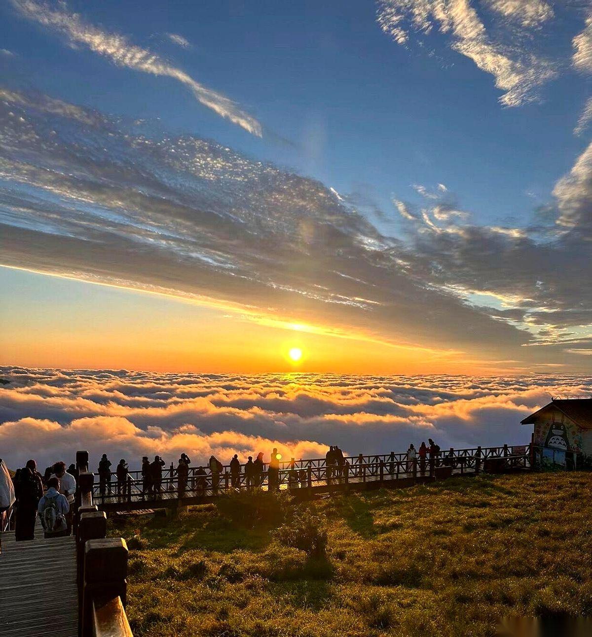 我跟你说个事儿，你可能不信。
再熬个十年八年，这世界上最顶尖的医生，可能就住在你