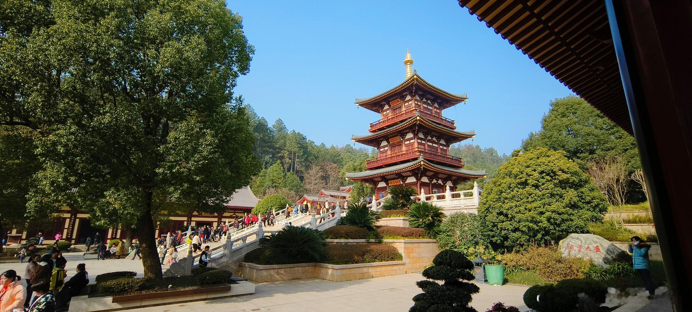 今天比昨天慈悲，今天比昨天智慧，今天比昨天快乐，这就是成功。       ——林