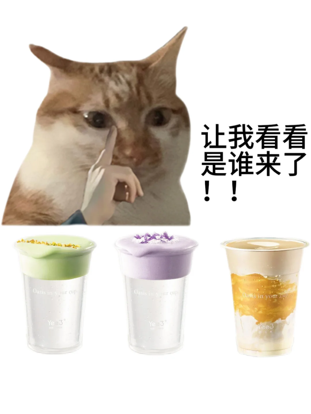 烟台！终于要来了！！