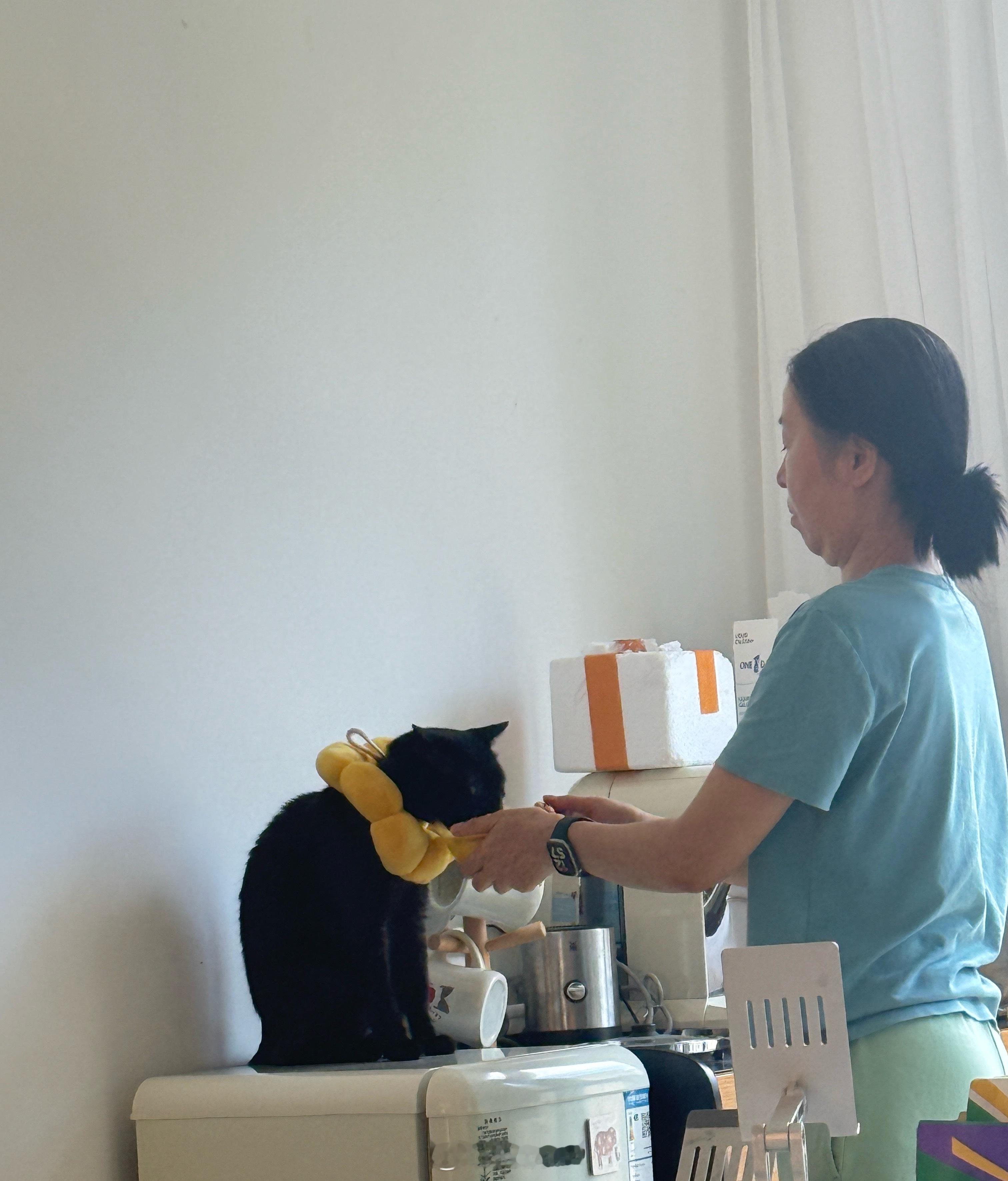 猫也看人下菜碟我喂黑奈儿的时候她老老实实自己吃压压喂饭她就来感觉了，要一勺勺喂 