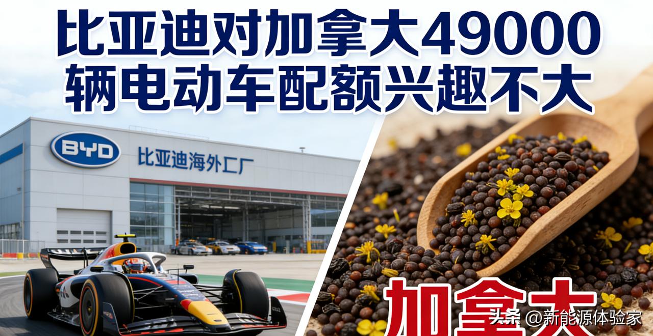 加拿大这点配额，还入不了比亚迪的眼。
要进就全资控股，不跟人合伙分蛋糕。
出口反