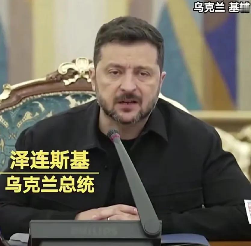 除了北约，其他组织一概不考虑！泽连斯基这是铁了心的要把乌克兰送进去，此事还没苗头