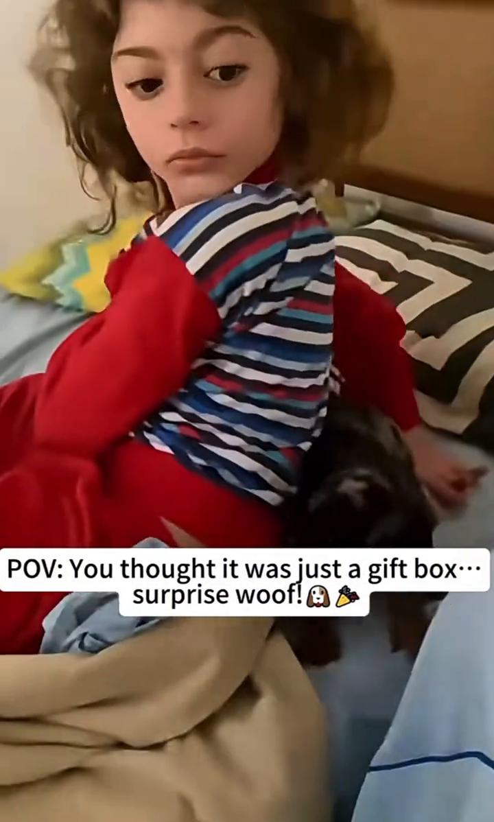 POV：You thought it was just a gift box..