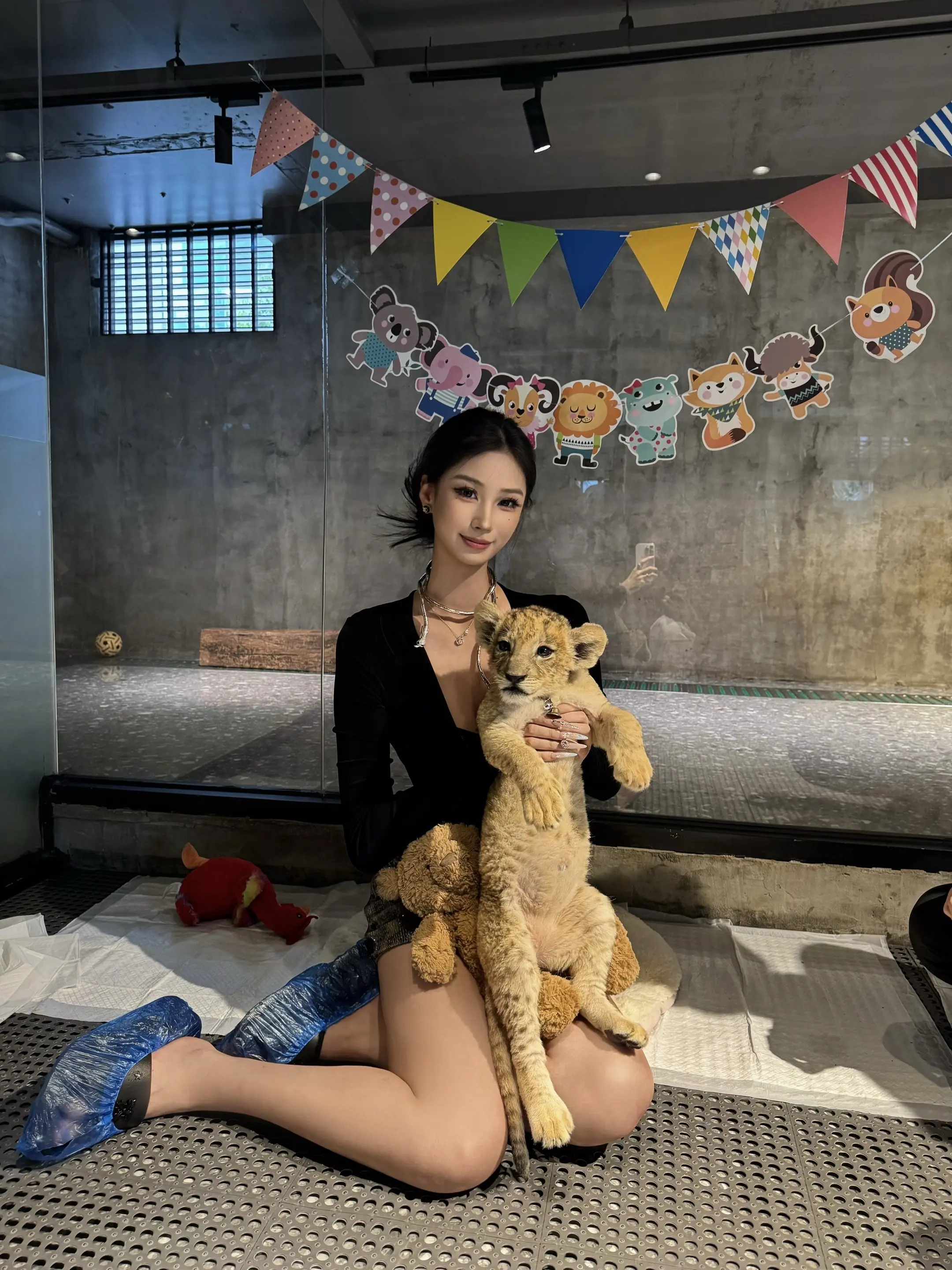 撸小猫🦁