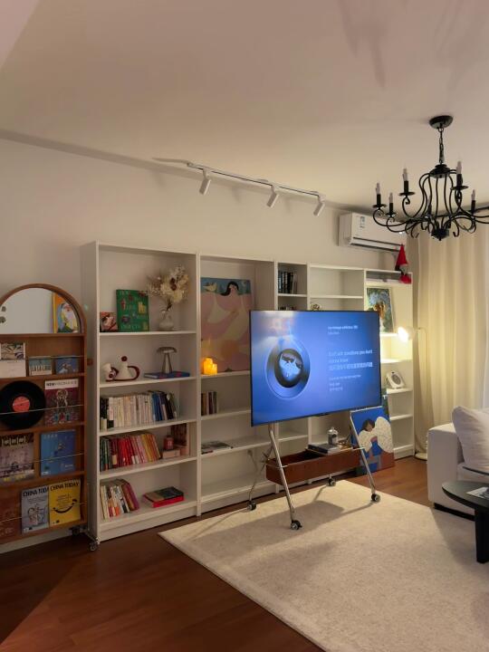 1600+拿下客厅满墙书柜