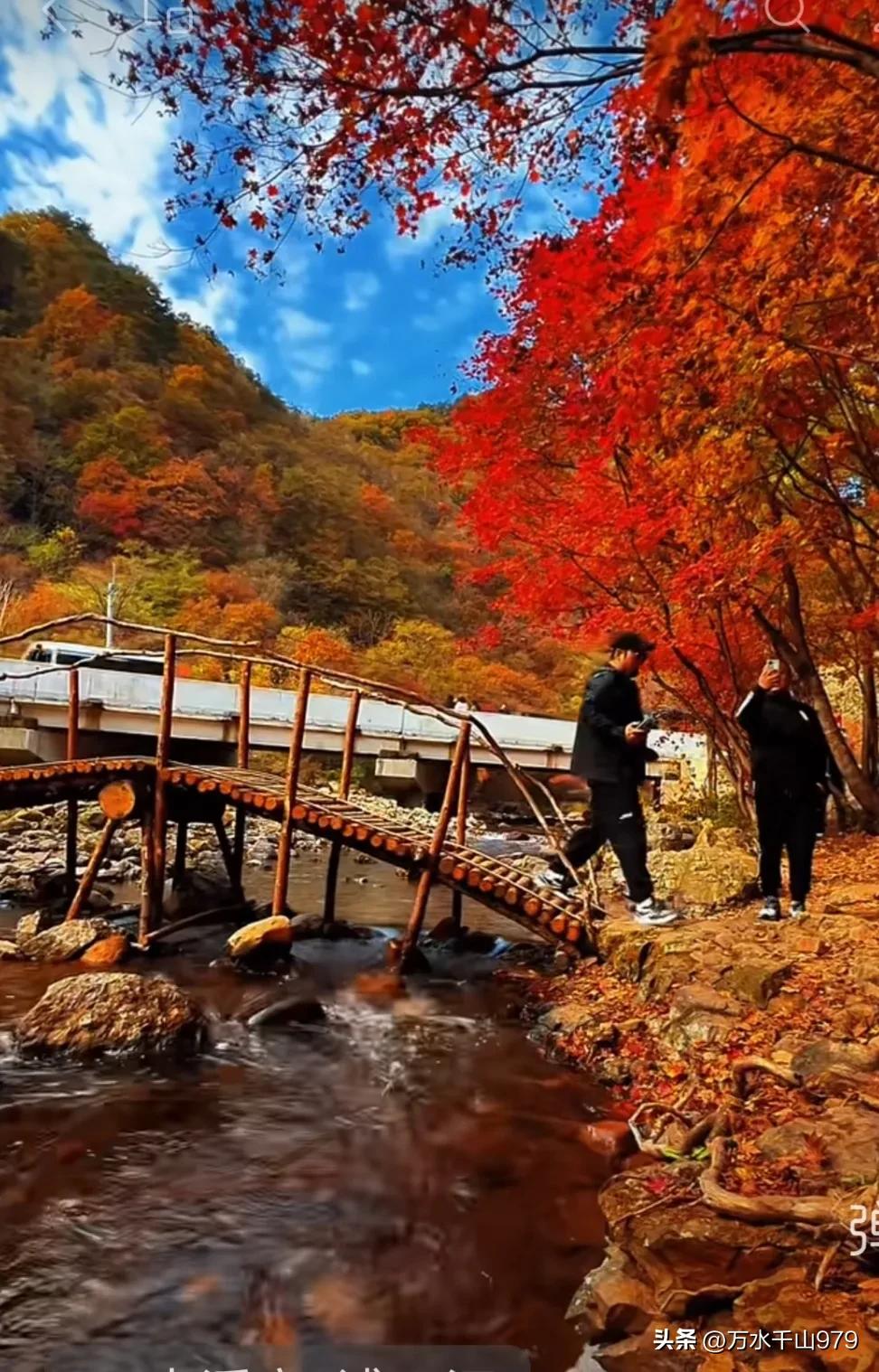 登高拾秋
十月山丘透蜡黄，
一睹便有好文章。
小溪清澈浪跳舞，
野果红润鸟先尝。