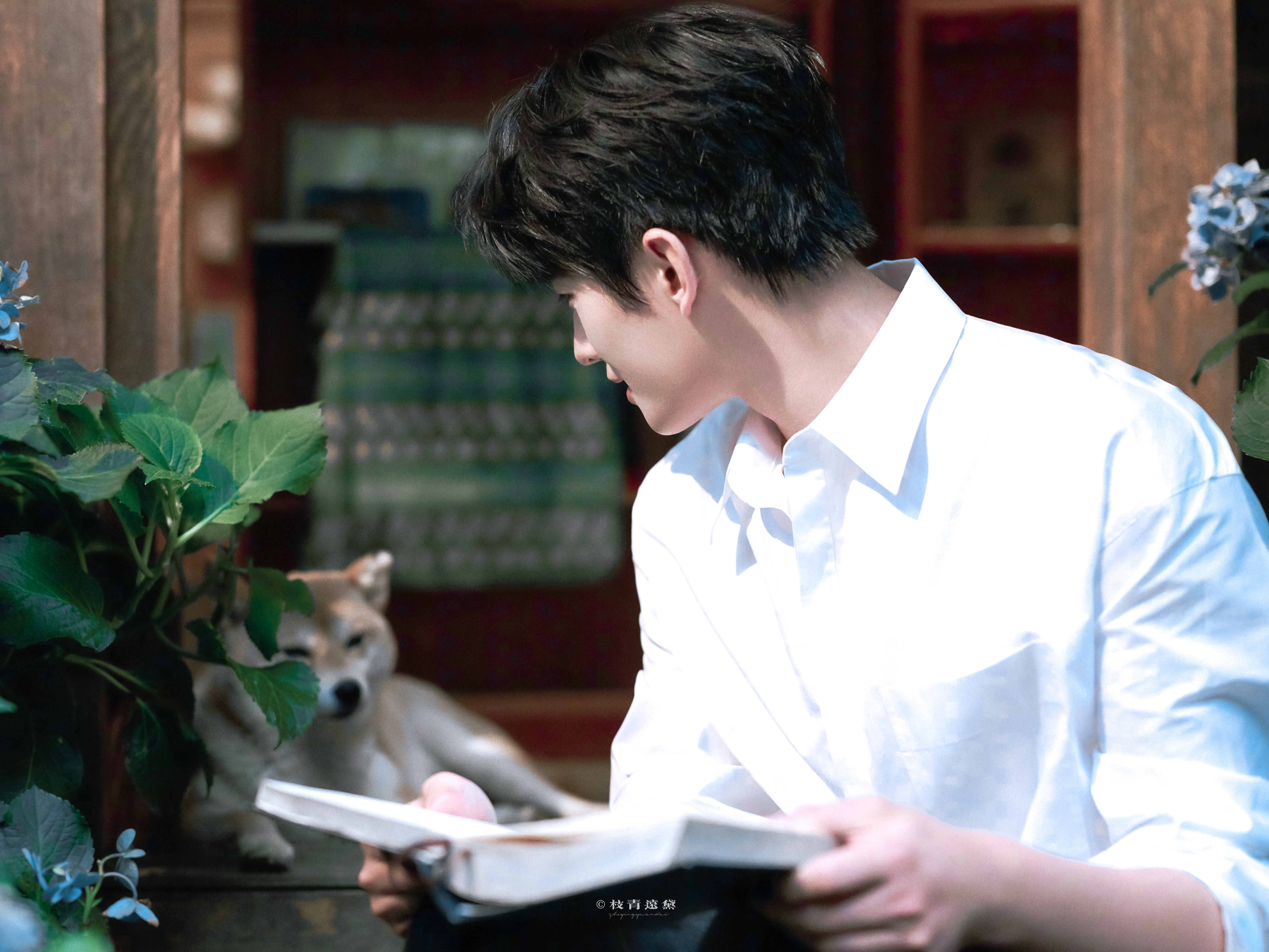 杨洋/风也温柔你也温柔🌿 