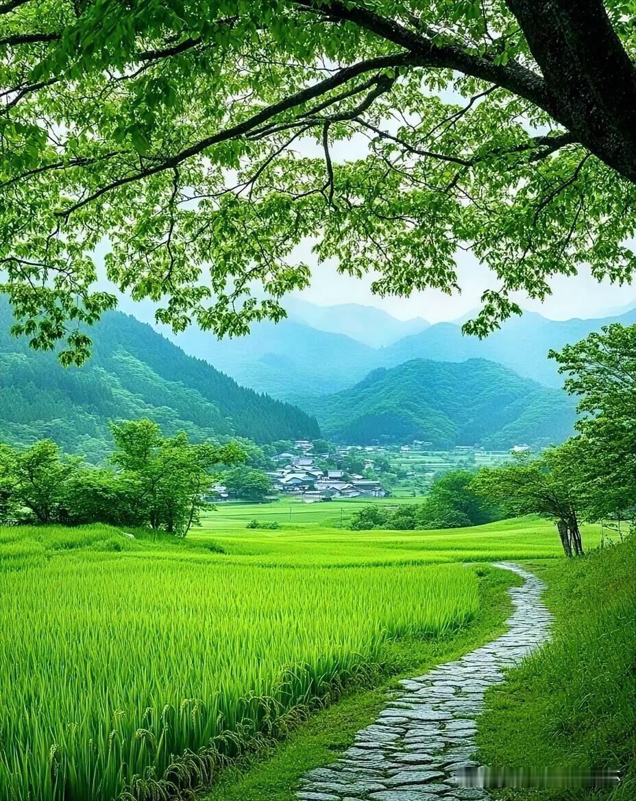 下联：夏风如水洗人心
上联：有请雅士[玫瑰][玫瑰][玫瑰]