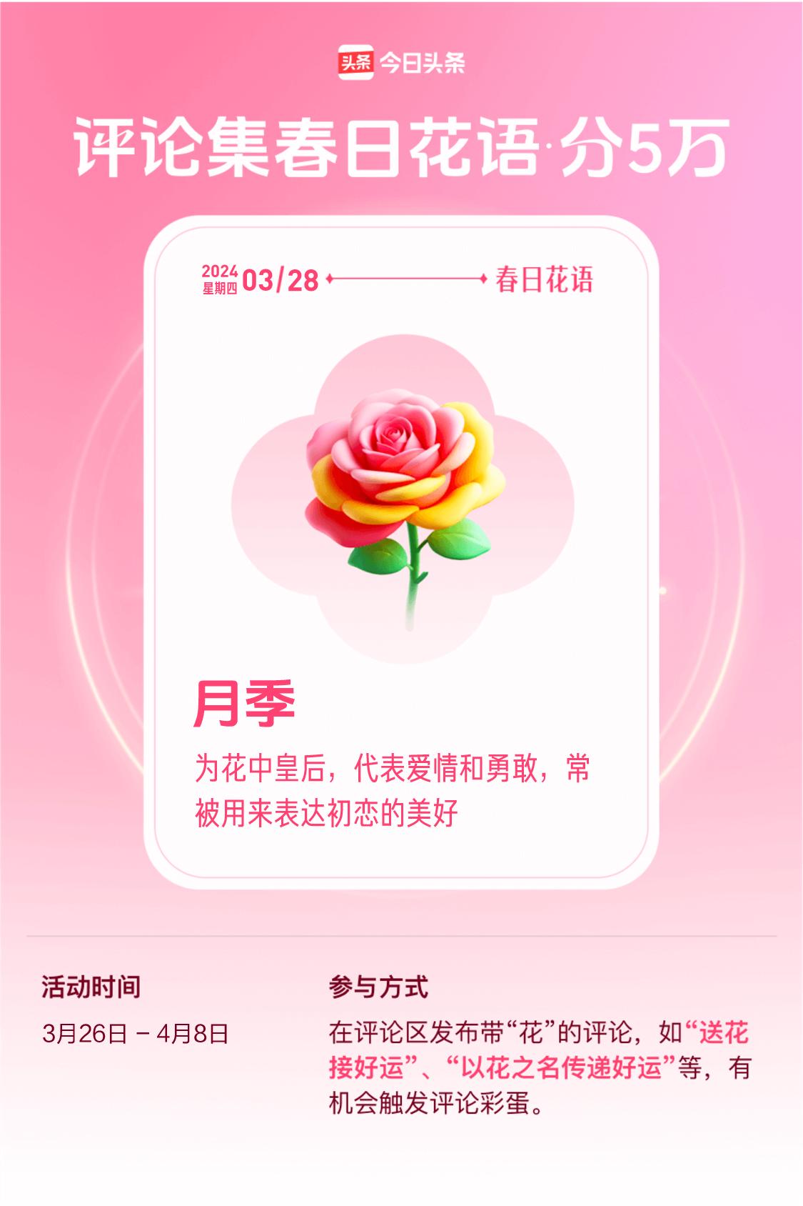 ，“为花中皇后，代表爱情和勇敢，常被用来表达初恋的美好。”