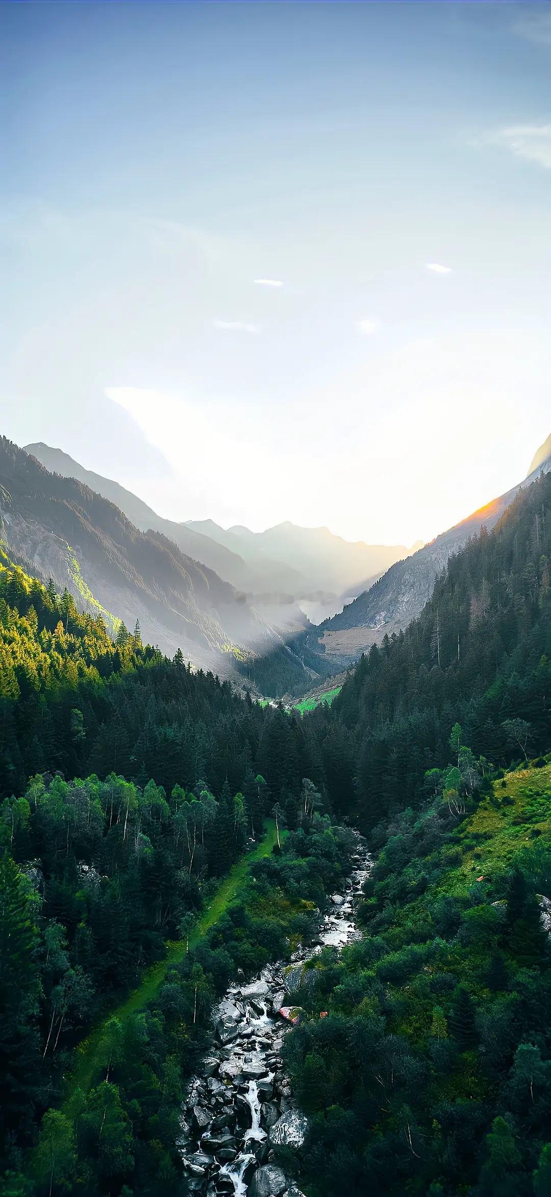 今日🈚投稿，大家早早早鸭~[送花花][送花花] ​​​