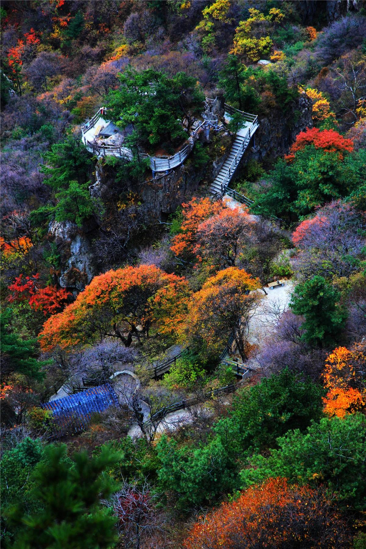 在这个纷繁复杂的世界里，许多人都在奔波劳碌，追逐着名利与成功，却渐渐忘记了生命中