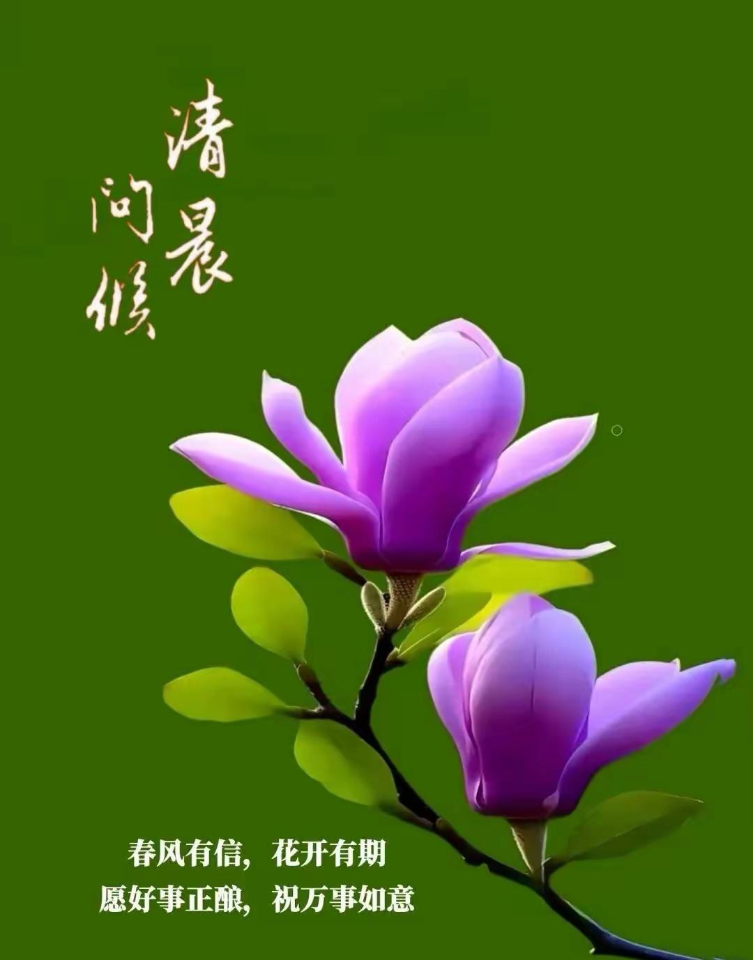 下联：
邀星此刻可临窗

记录我的2026