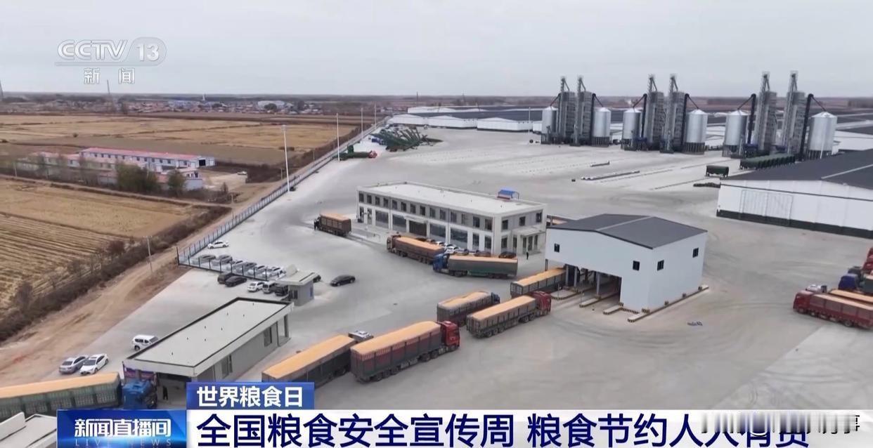 在“十四五”的宏伟蓝图下，我国的粮食储备体系正经历着一场深刻的变革。我们不仅确保