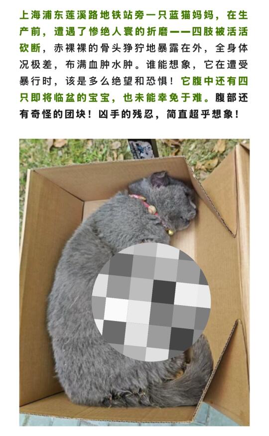发声！！！！心痛更心碎啊！