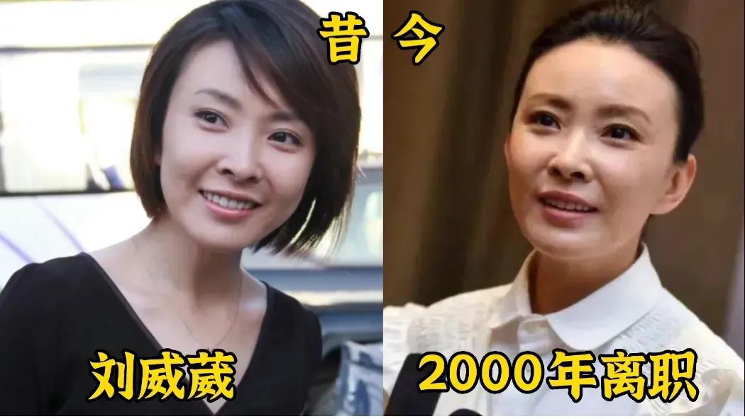 都说央视是人人羡慕的金饭碗，没想到这么多主持人主动选择离开。
个个都是当年家喻户