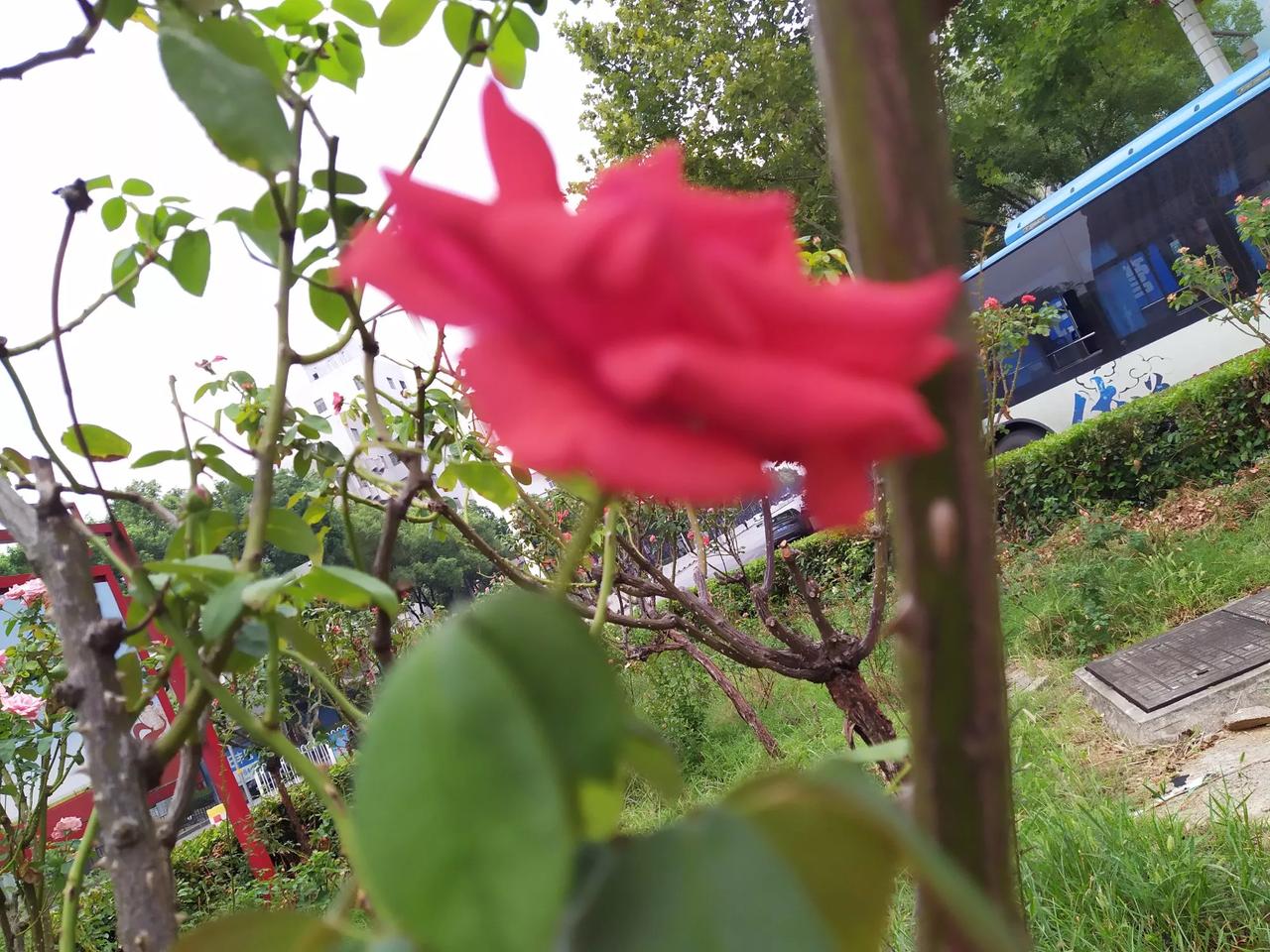 在党的领导下，坚持党的领导，坚持社会主义改革开放，坚持毛泽东思想！中国就“不会散