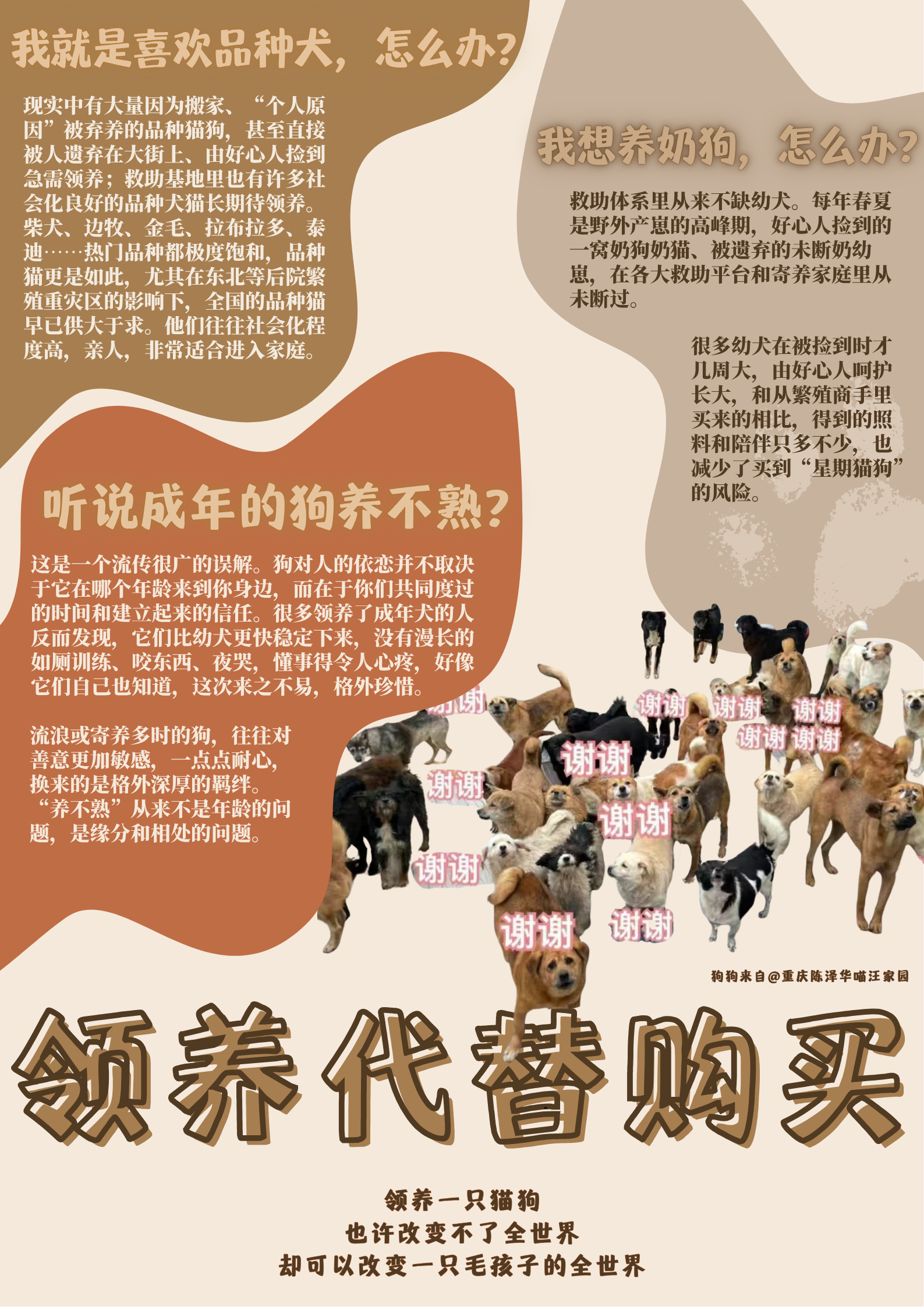 繁殖业大致状况 & 领养方式领养代替购买被割了舌头的繁殖金毛