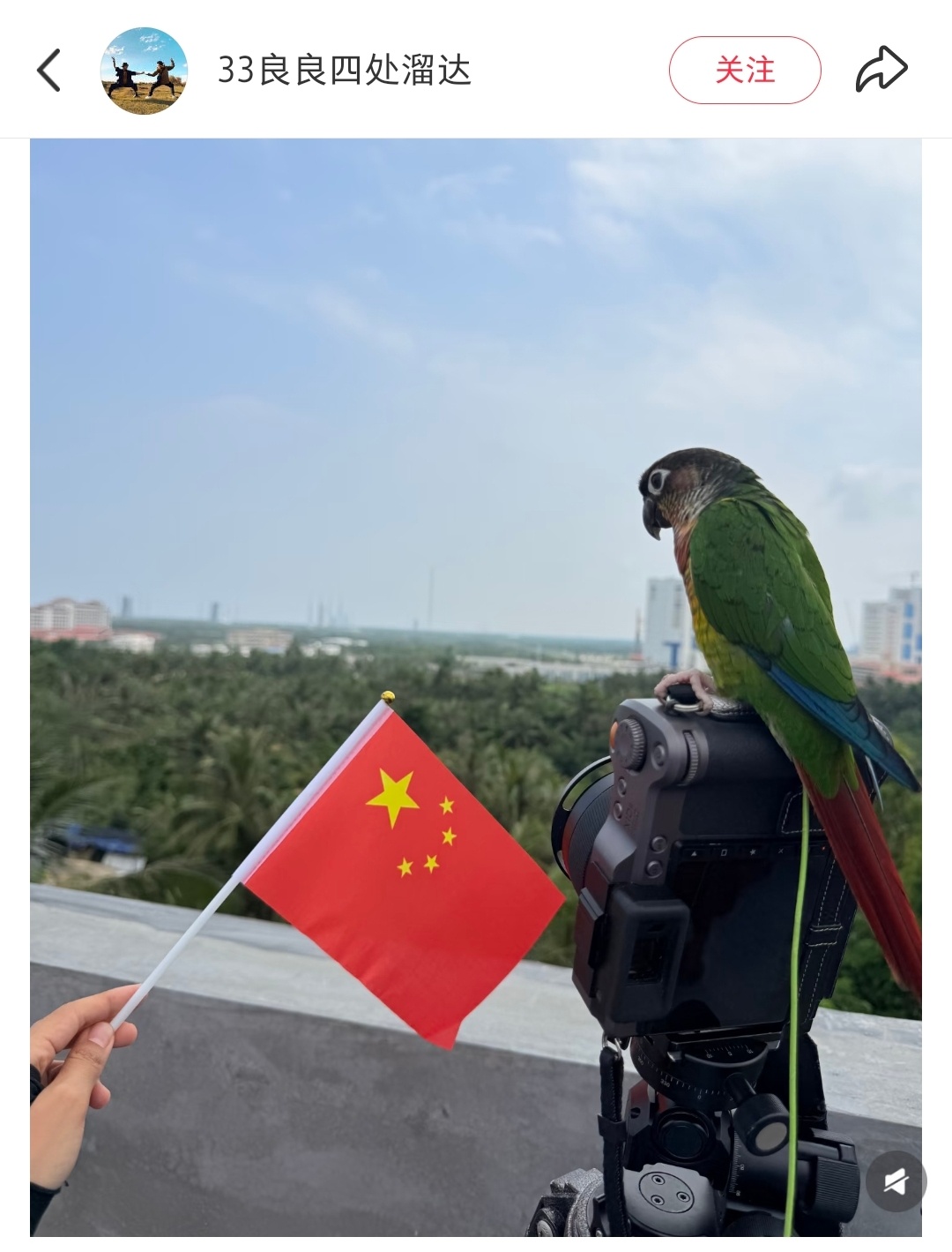 鹦鹉也在看火箭发射通信技术试验卫星二十五号发射成功