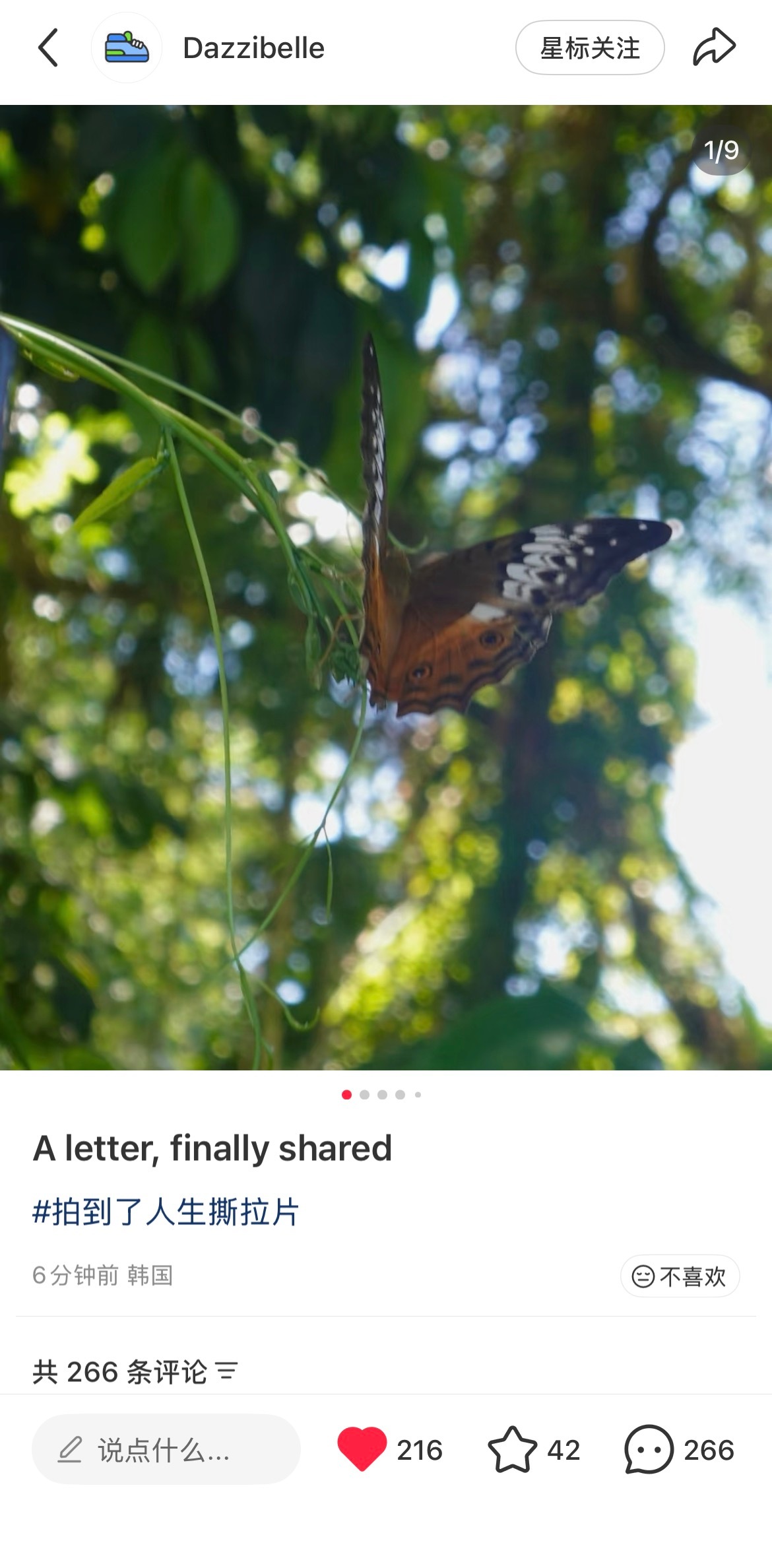 Danielle小红书更新速去支持 