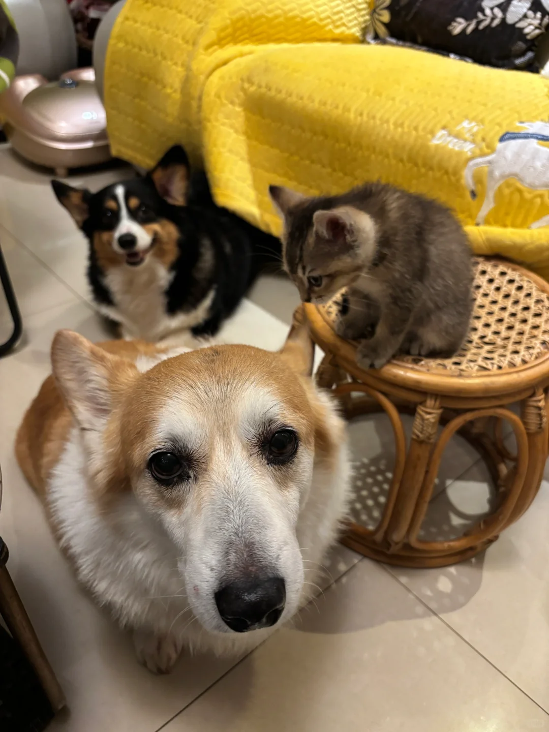 近期状况汇报！！