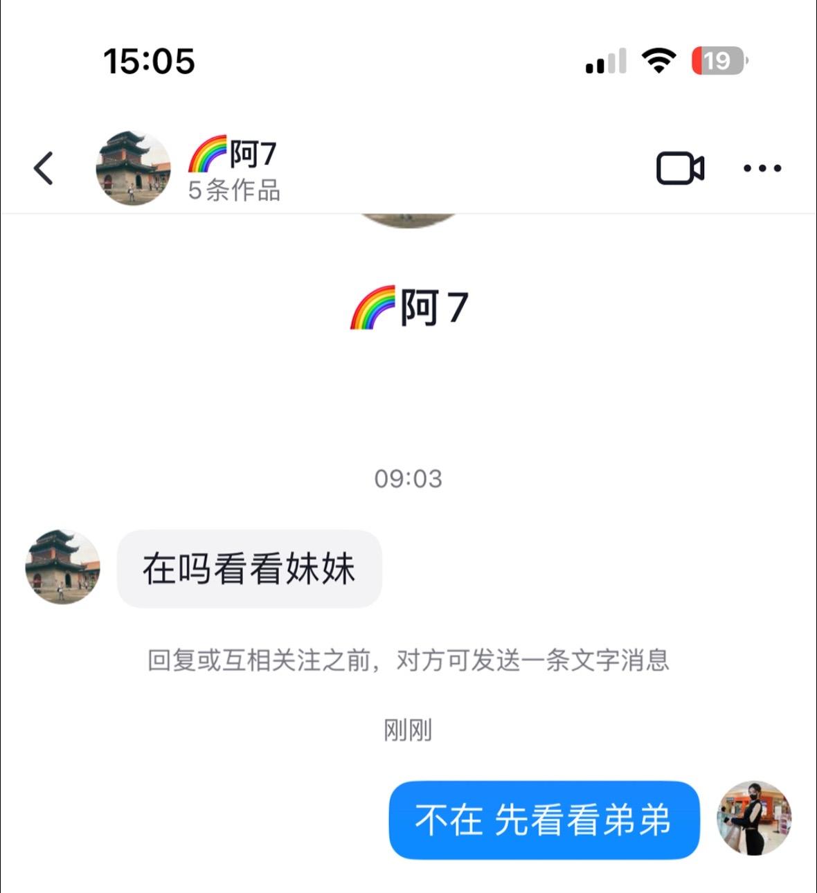 不见小鸟不撒兔