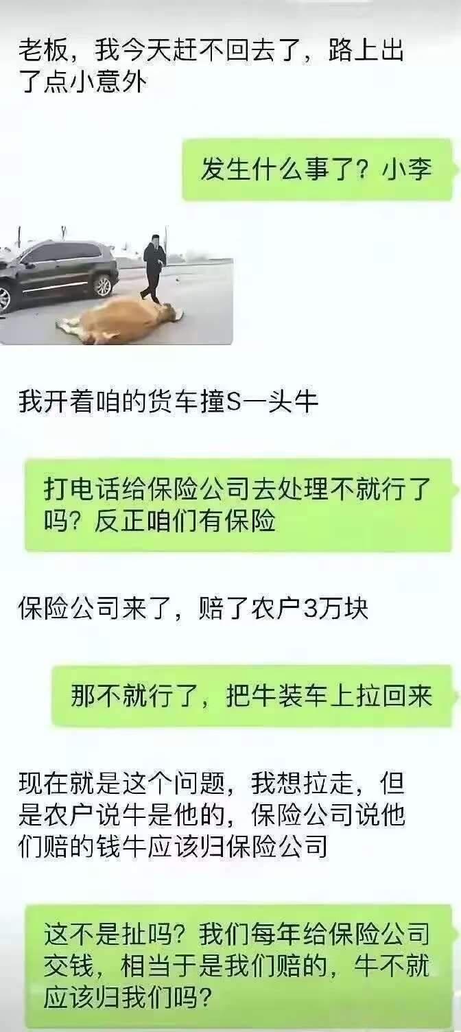开车撞死牛，保险公司赔了钱，牛应该归谁？网友吵翻了！

这事儿发生在跑货运的小李