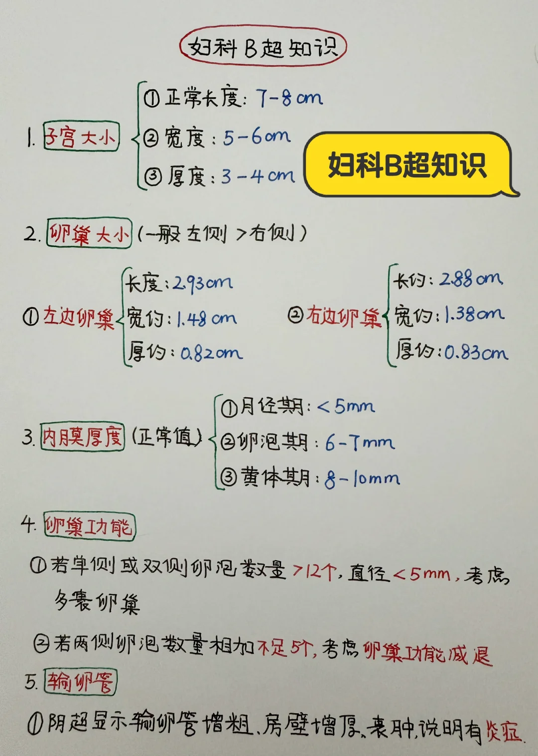 今日学习打卡——妇科B超知识