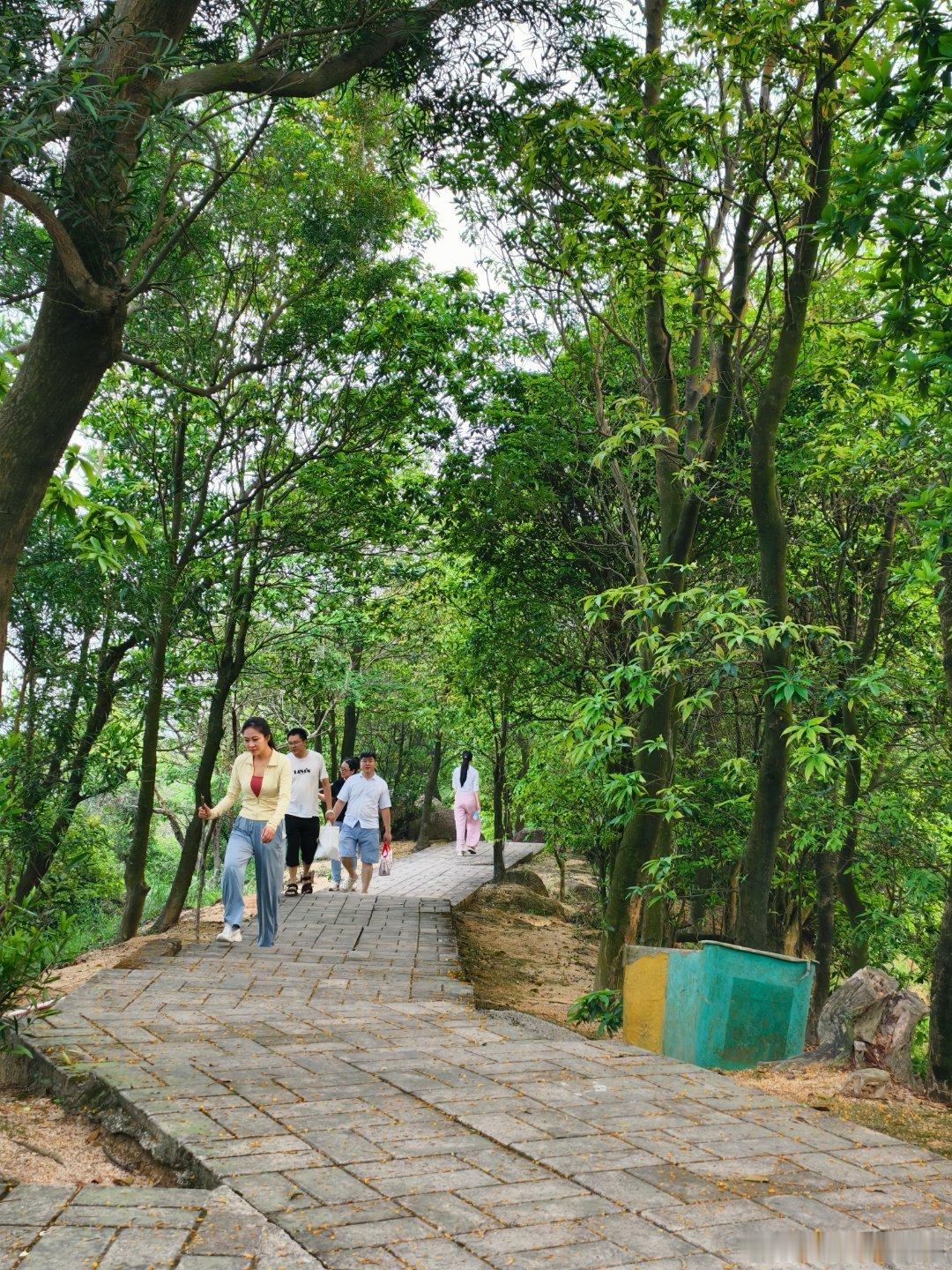 生态中山 时隔十多年再爬云梯山⛰️，交通最方便的入口是南朗快线出崖口村的辅道旁，
