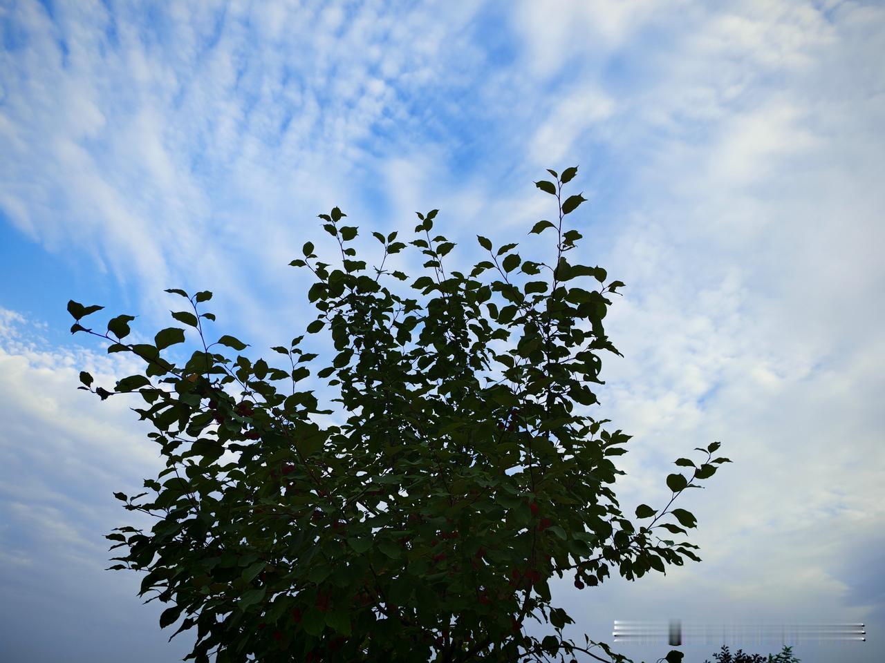 夏日生活打卡季